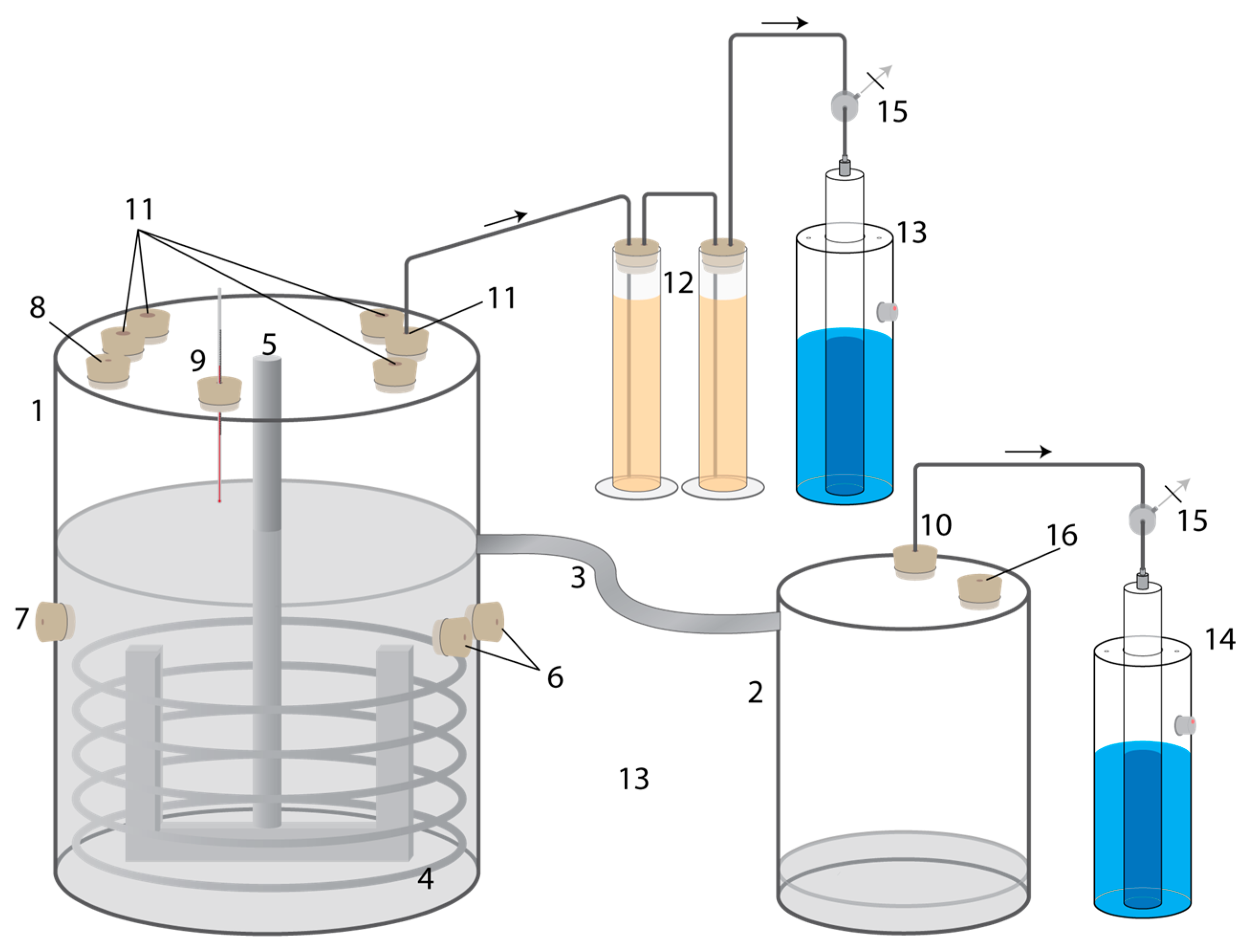 Applsci 15 00034 g001