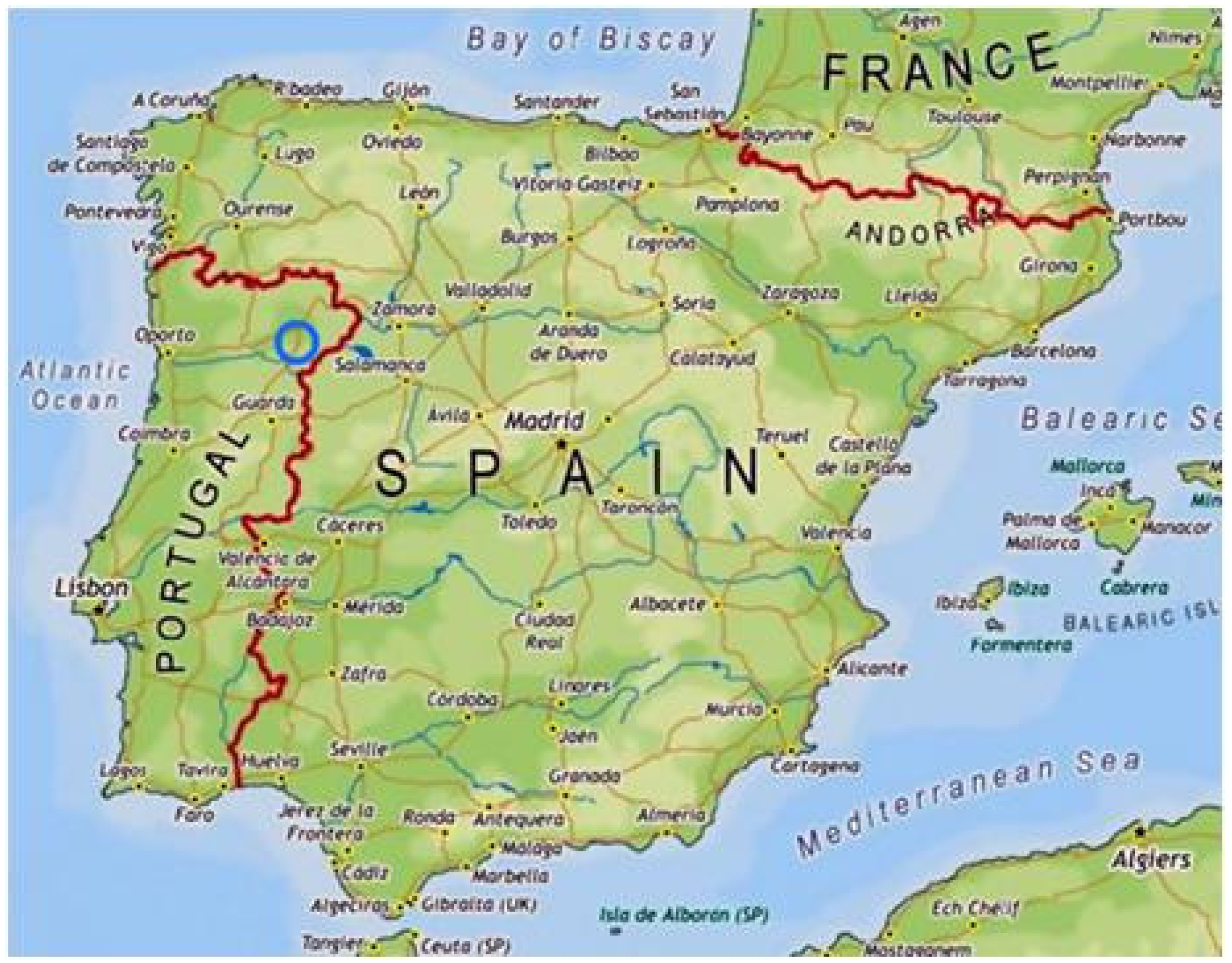 Applsci 15 00035 g001