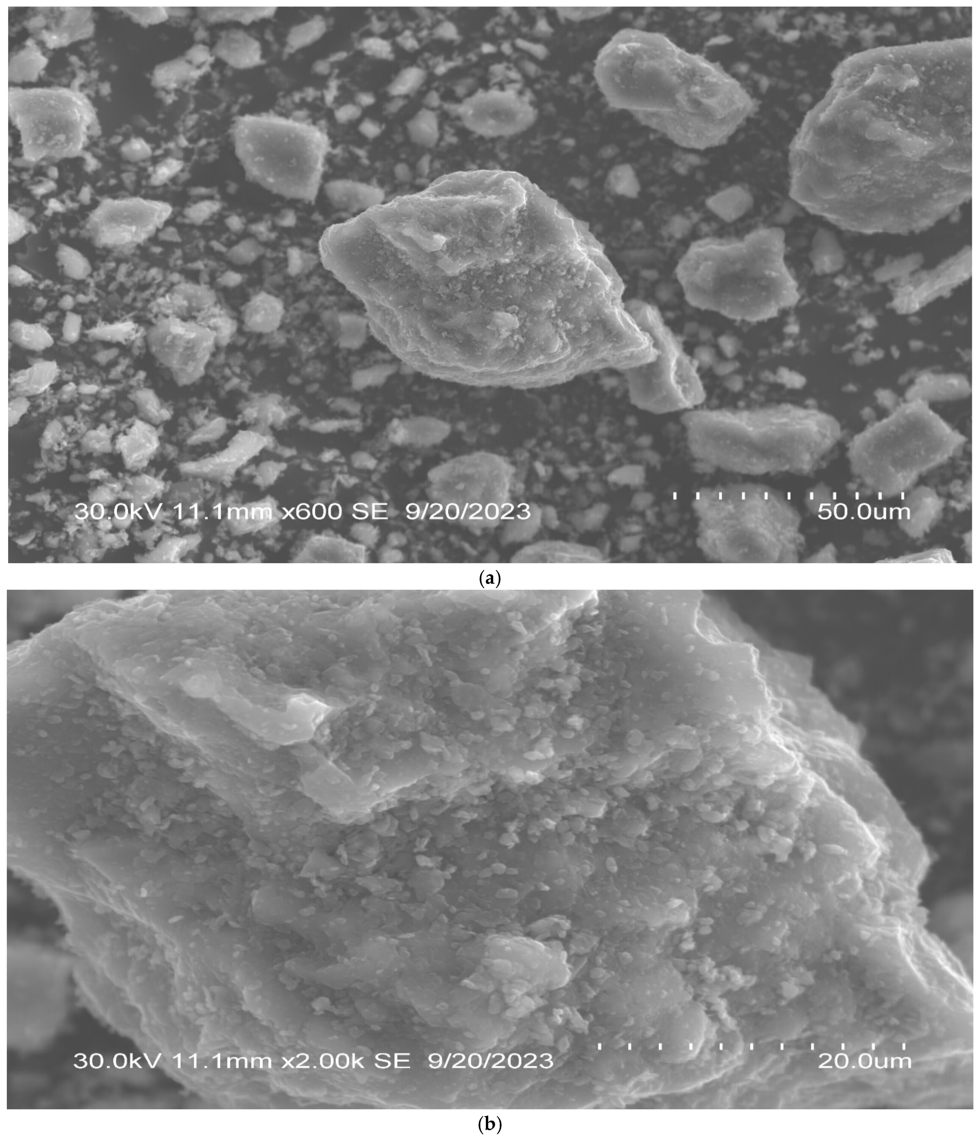 Applsci 15 00036 g004a