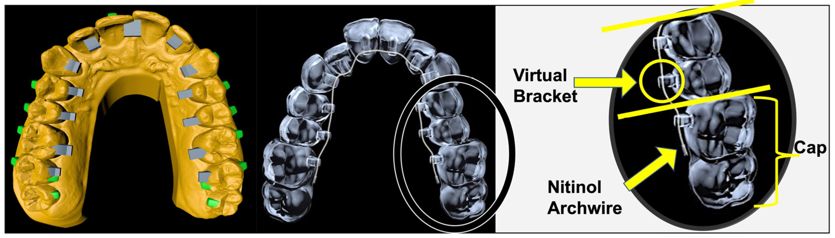 Applsci 15 00039 g001
