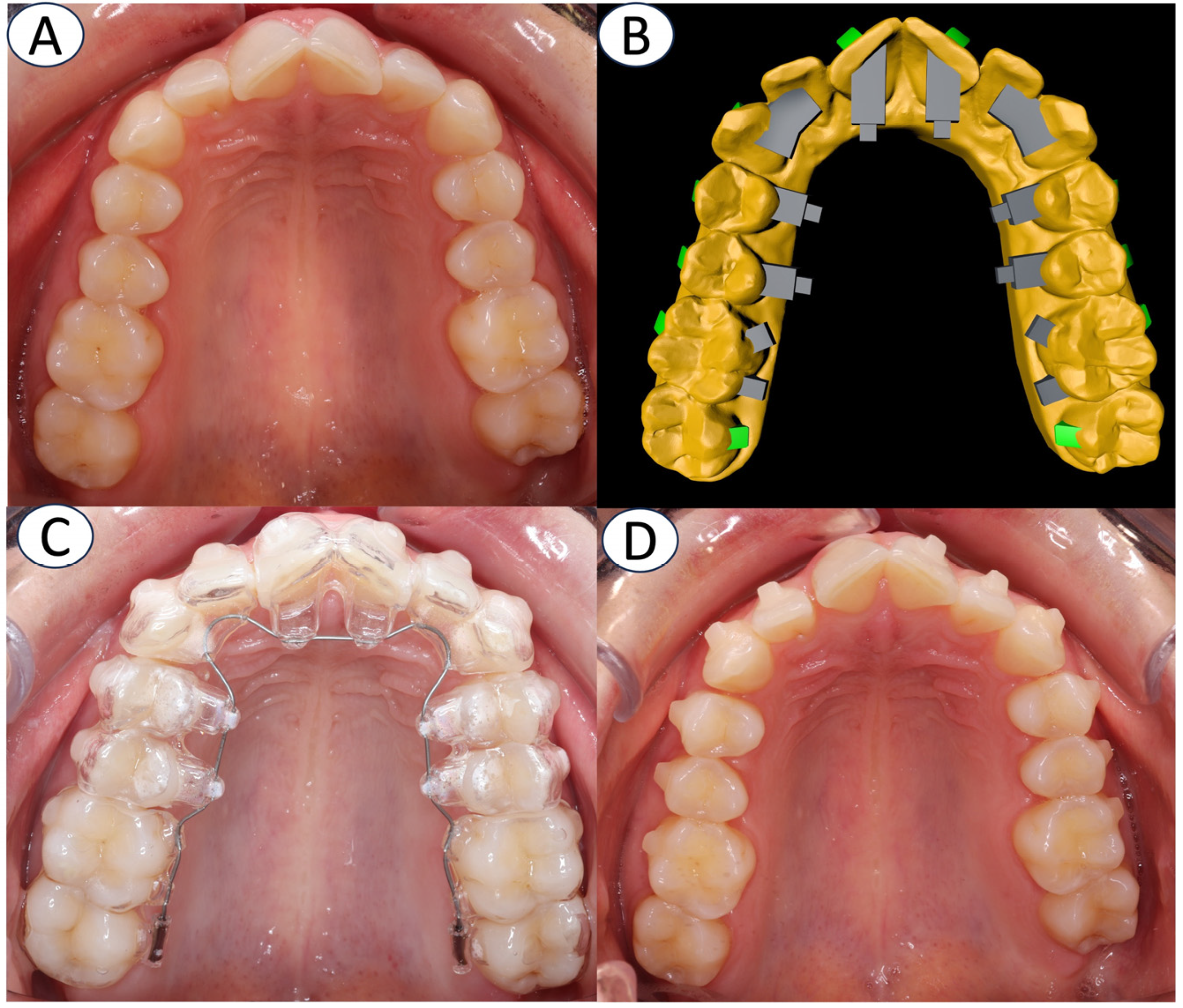 Applsci 15 00039 g002