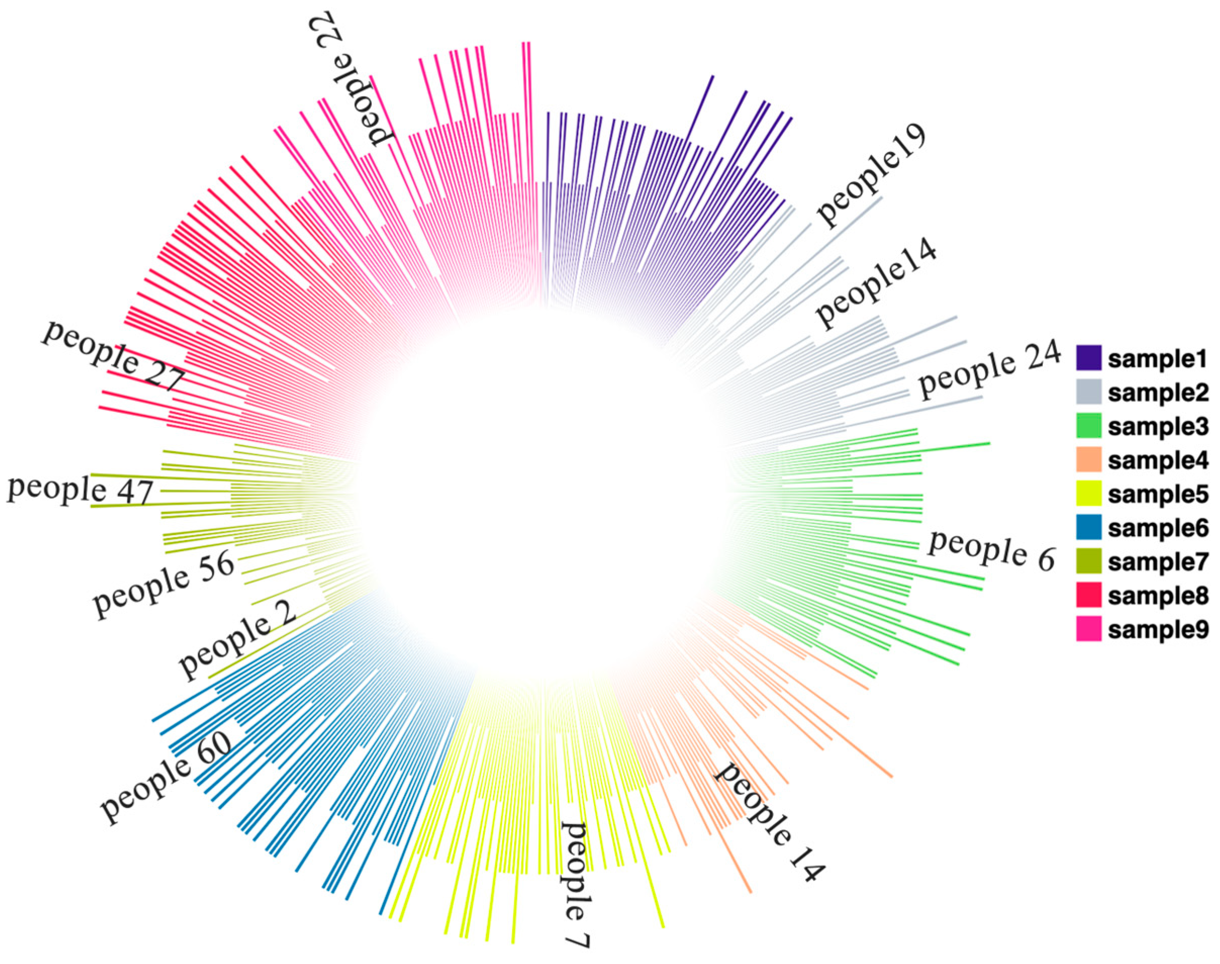Applsci 15 00046 g008