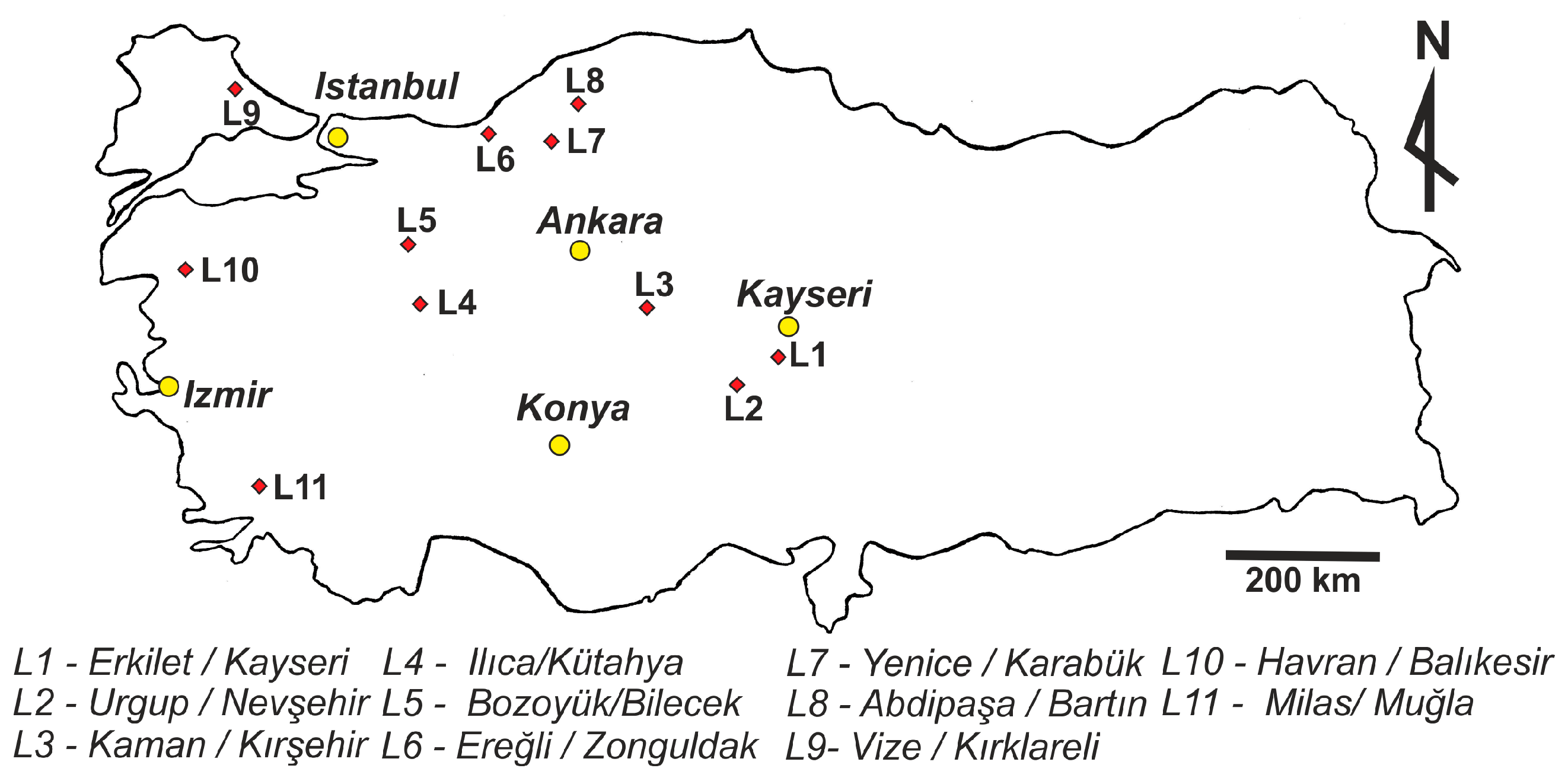 Applsci 15 00060 g001