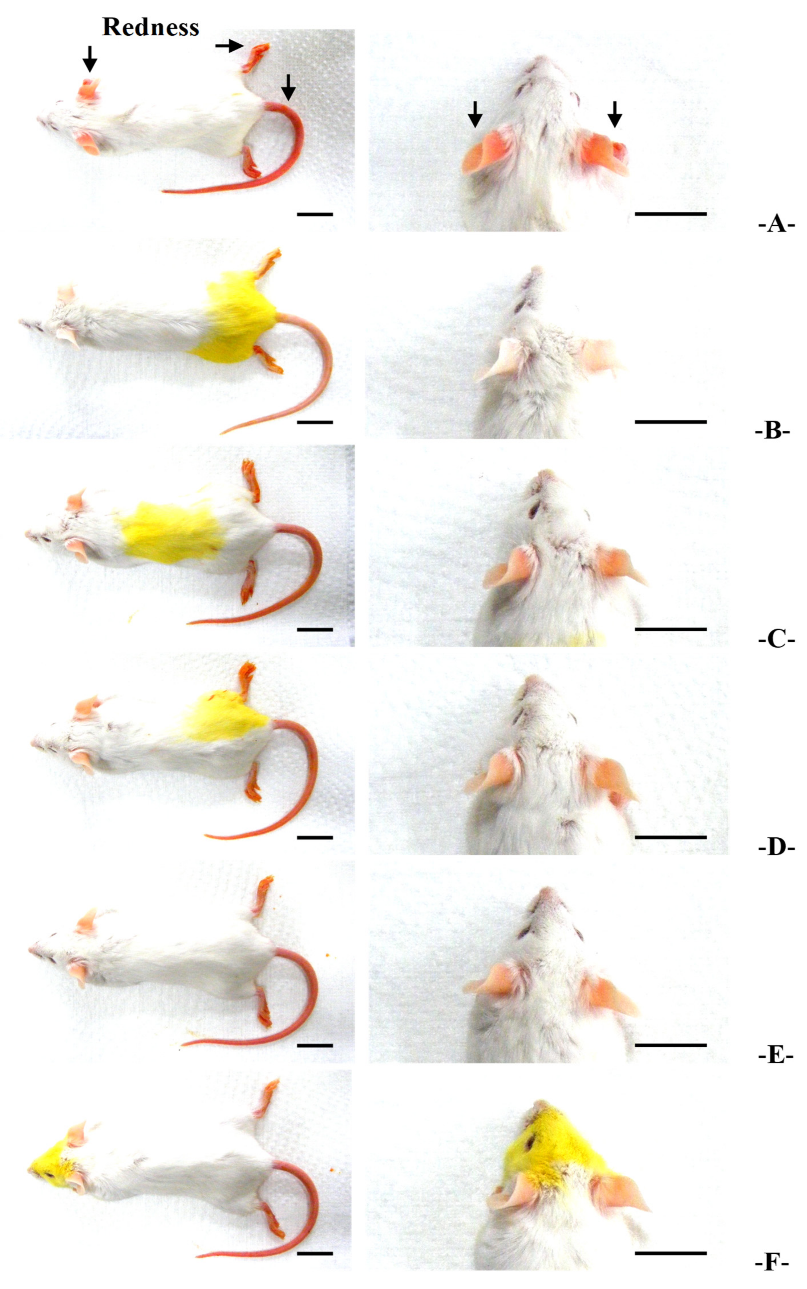 Applsci 15 00099 g002 Applsci 15 00099 g002