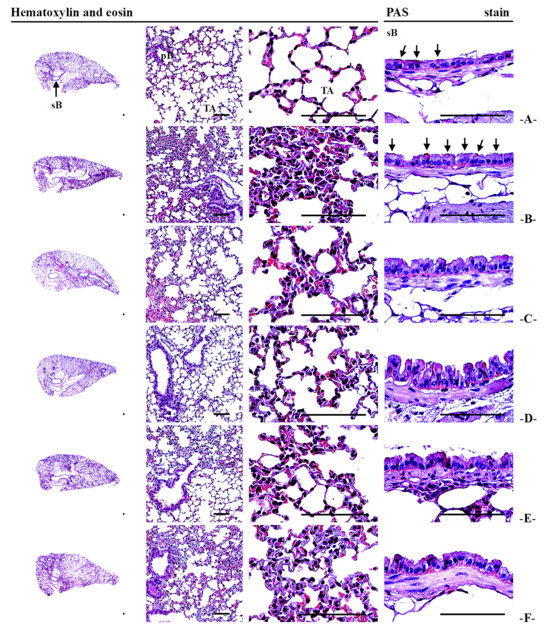 Applsci 15 00099 g007 Applsci 15 00099 g007