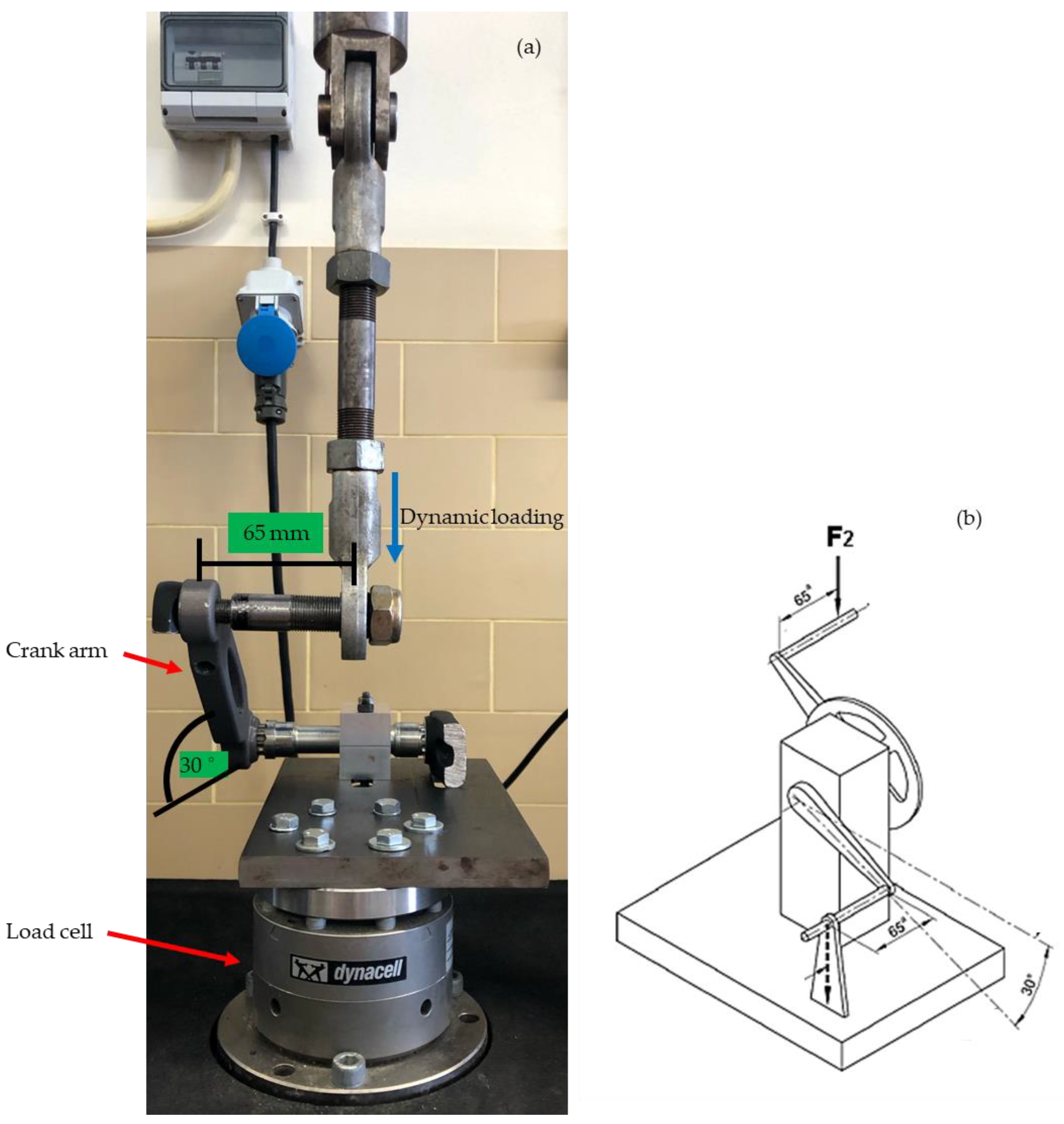 Applsci 15 00112 g005