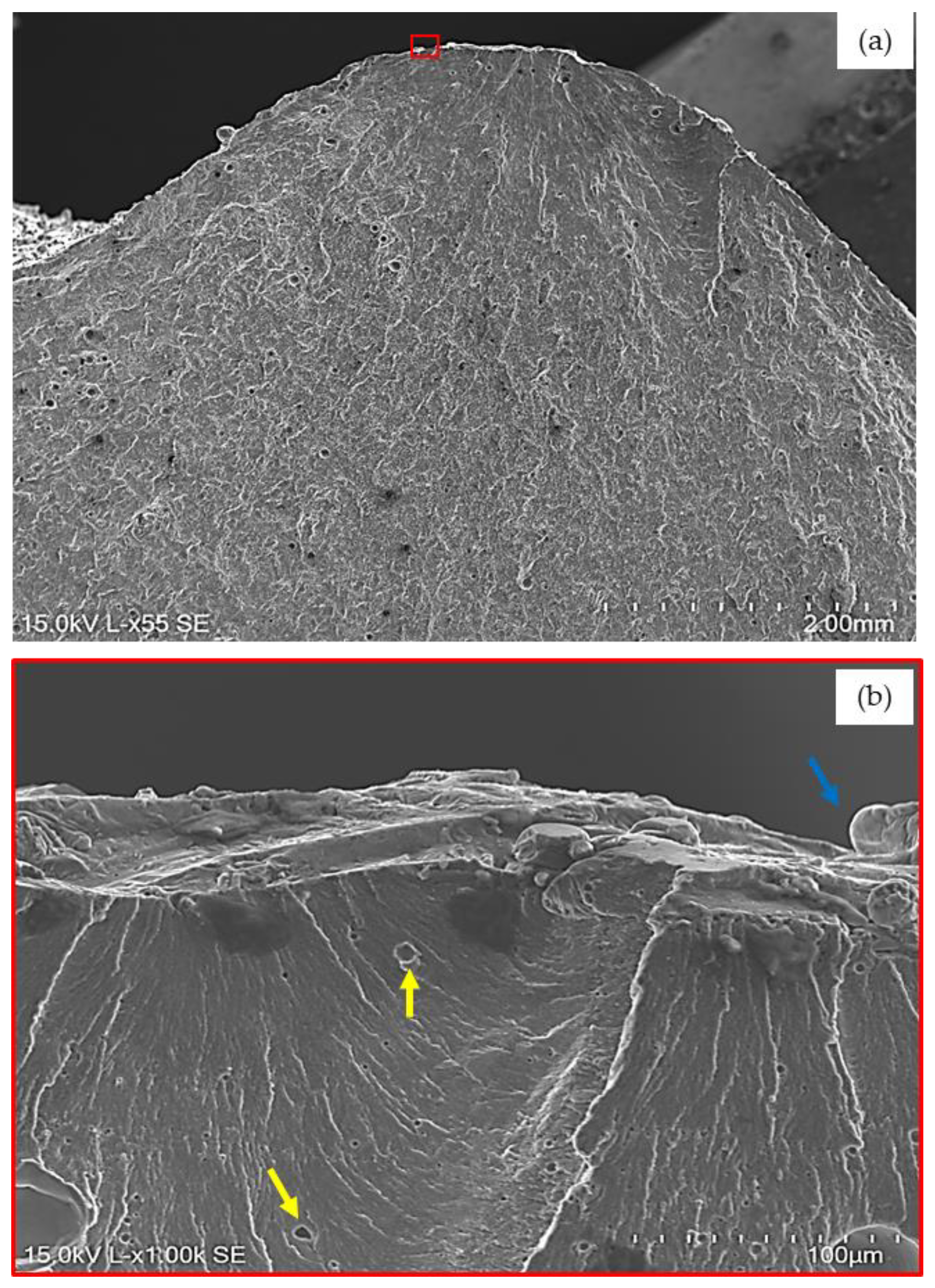 Applsci 15 00112 g009