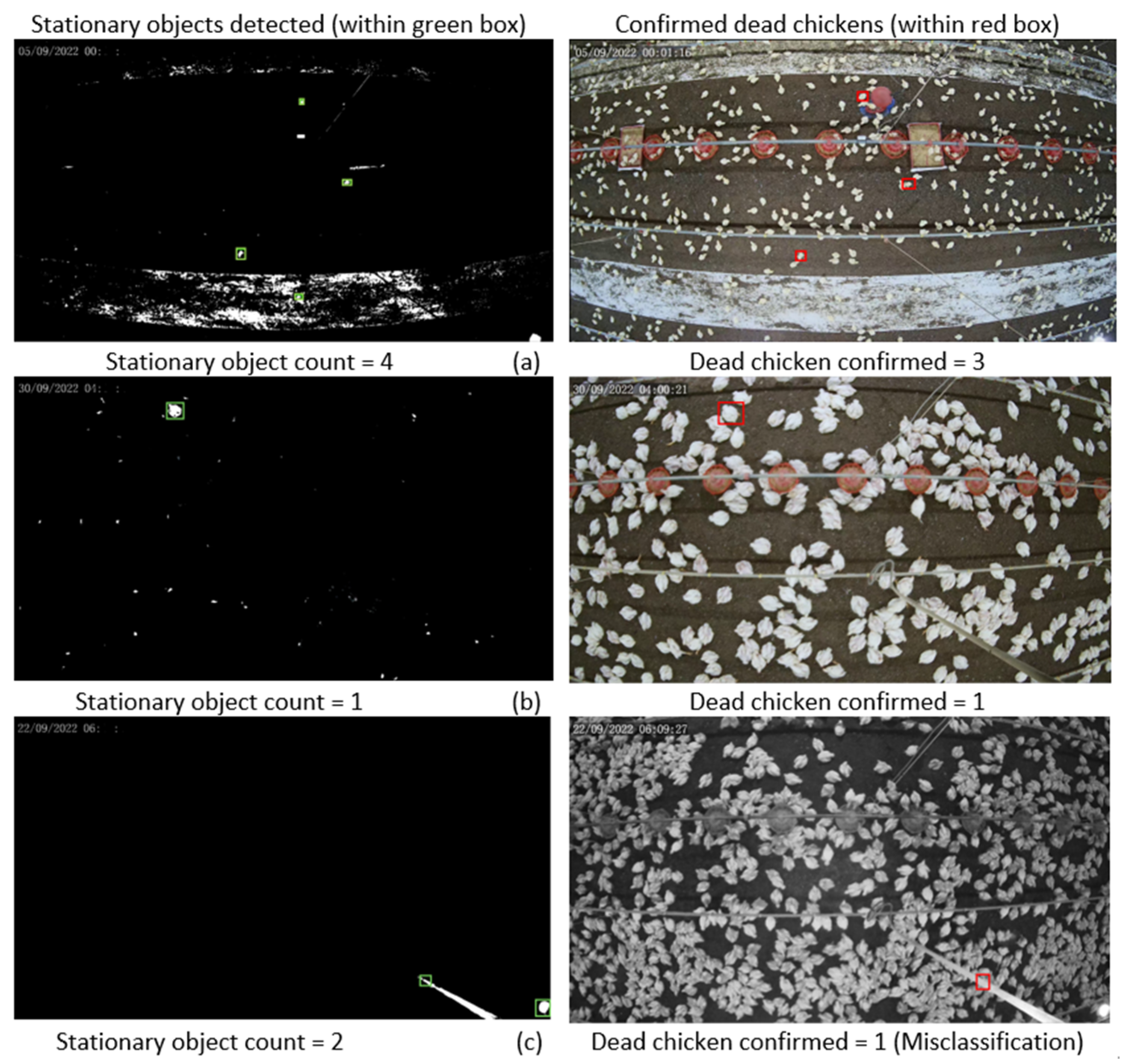 Applsci 15 00136 g007