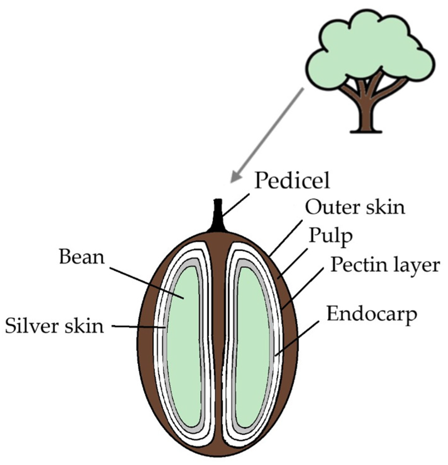 Applsci 15 00137 g001 Applsci 15 00137 g001