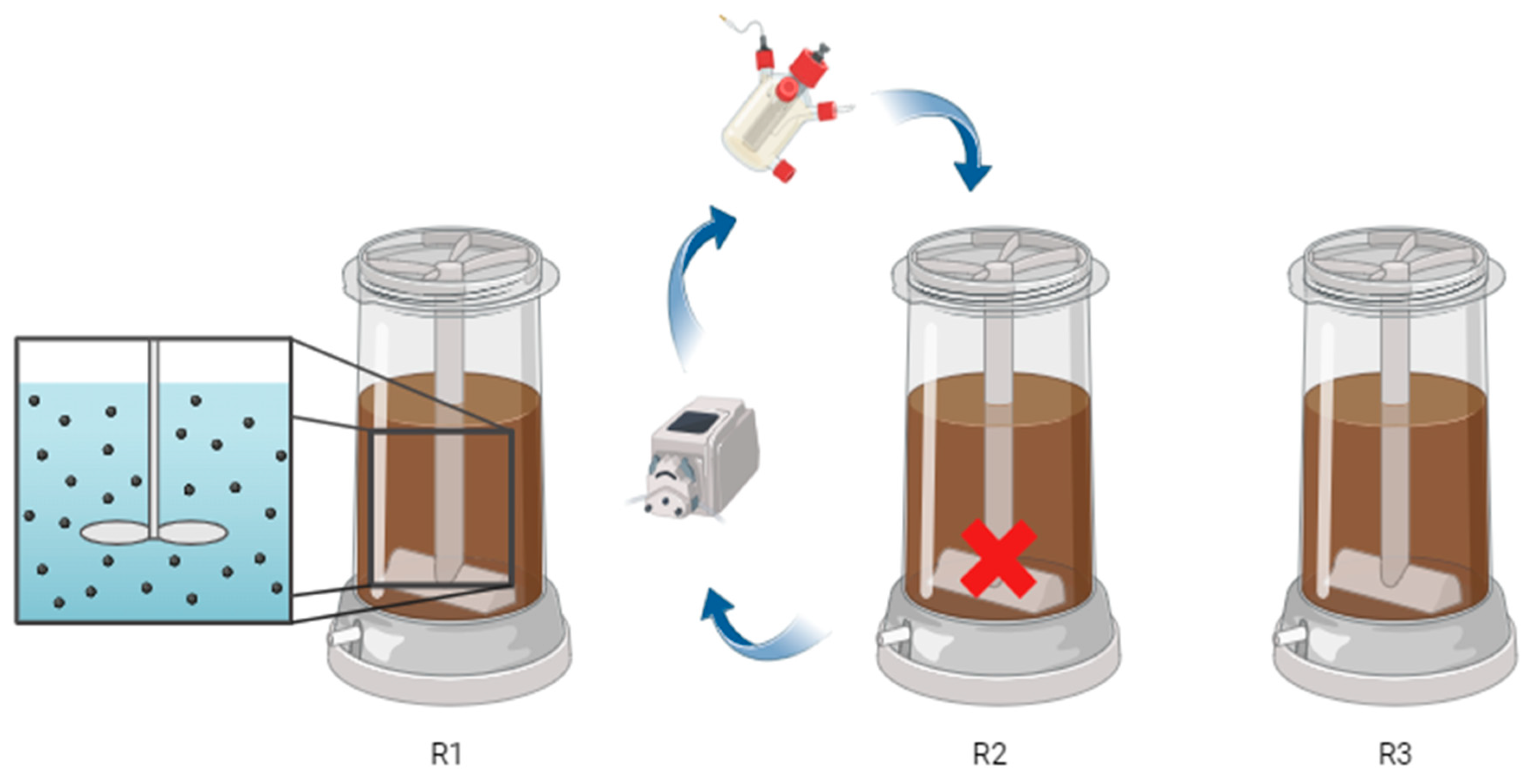 Applsci 15 00143 g001