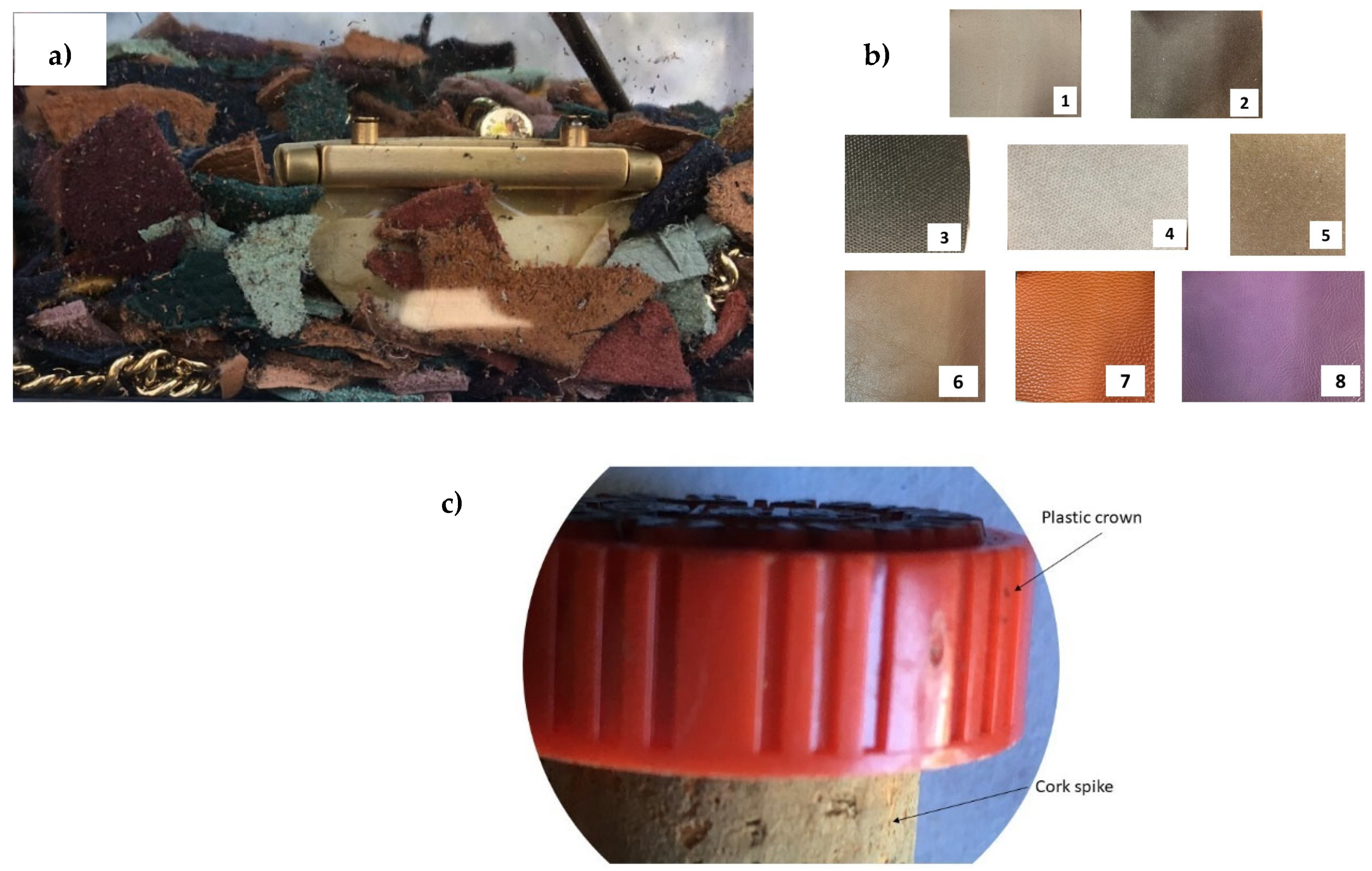 Applsci 15 00145 g001