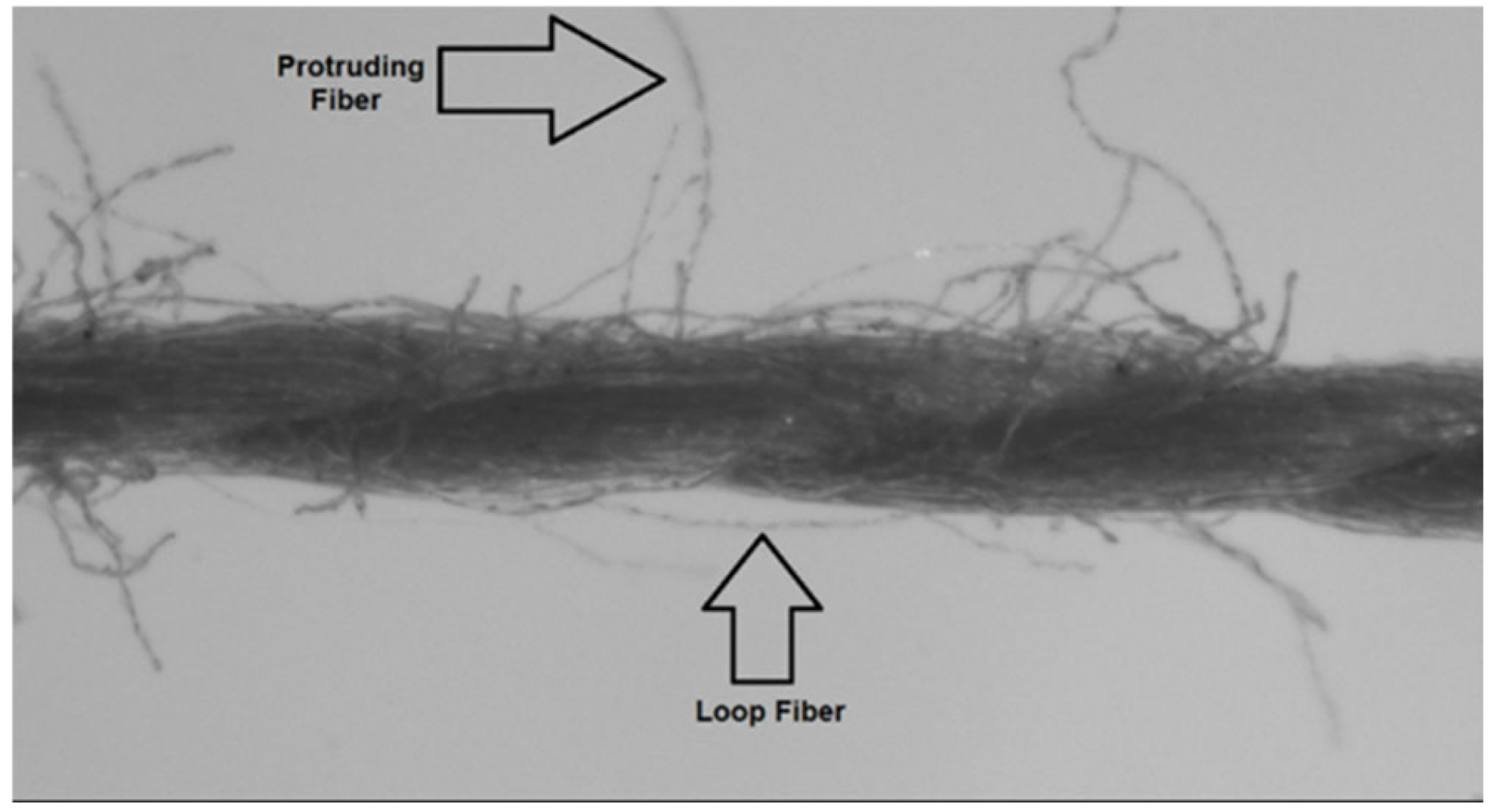 Applsci 15 00149 g001