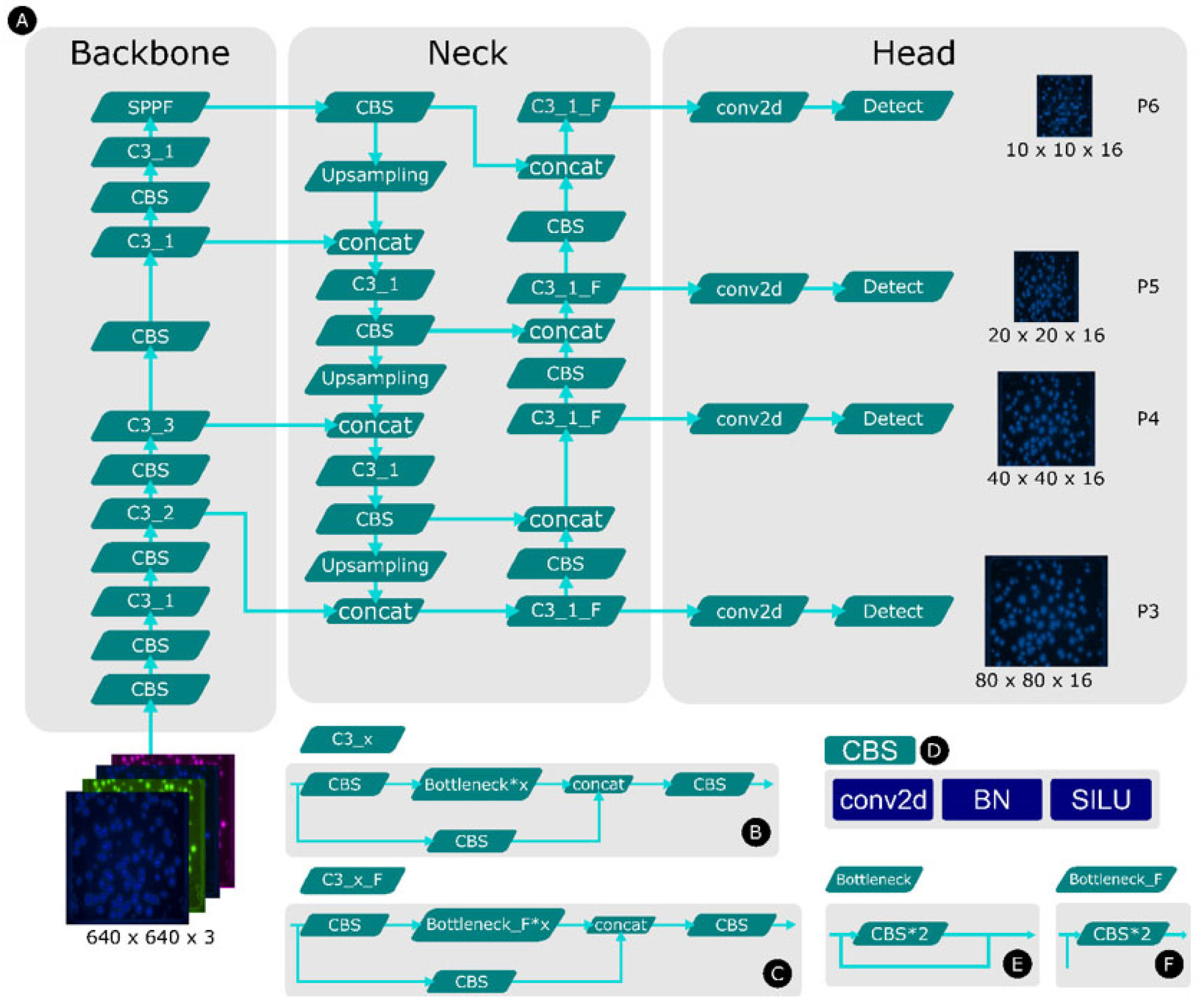 Applsci 15 00149 g004