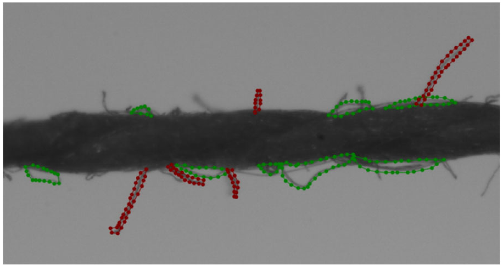 Applsci 15 00149 g008