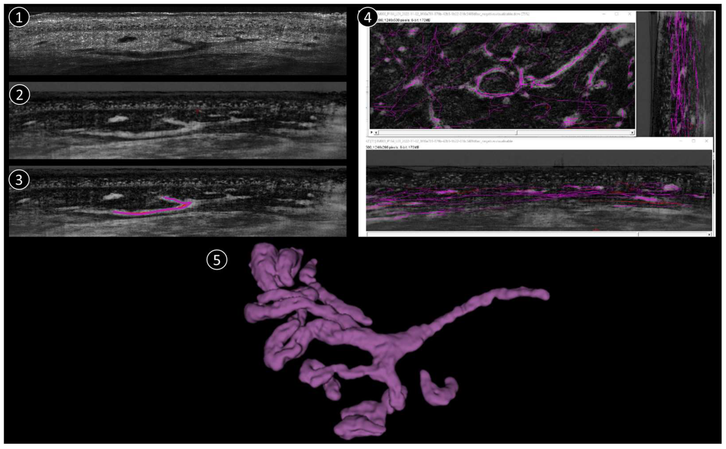 Applsci 15 00159 g001