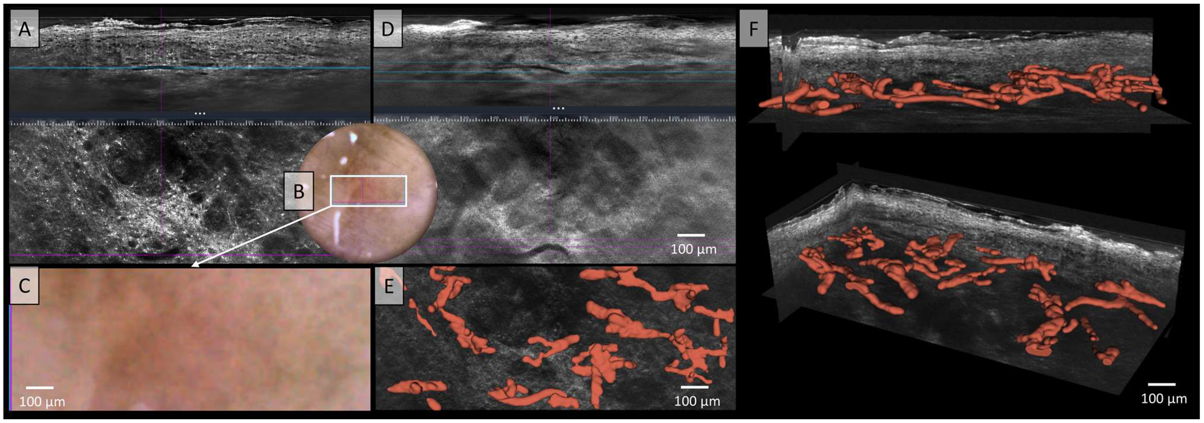 Applsci 15 00159 g002