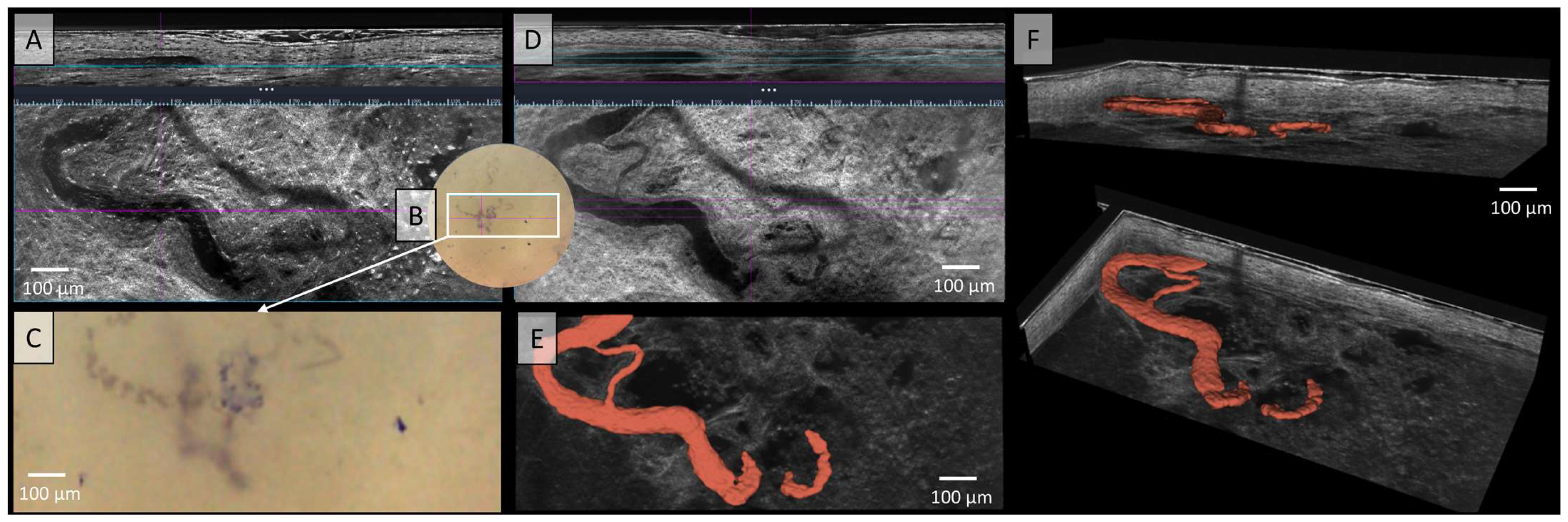 Applsci 15 00159 g003