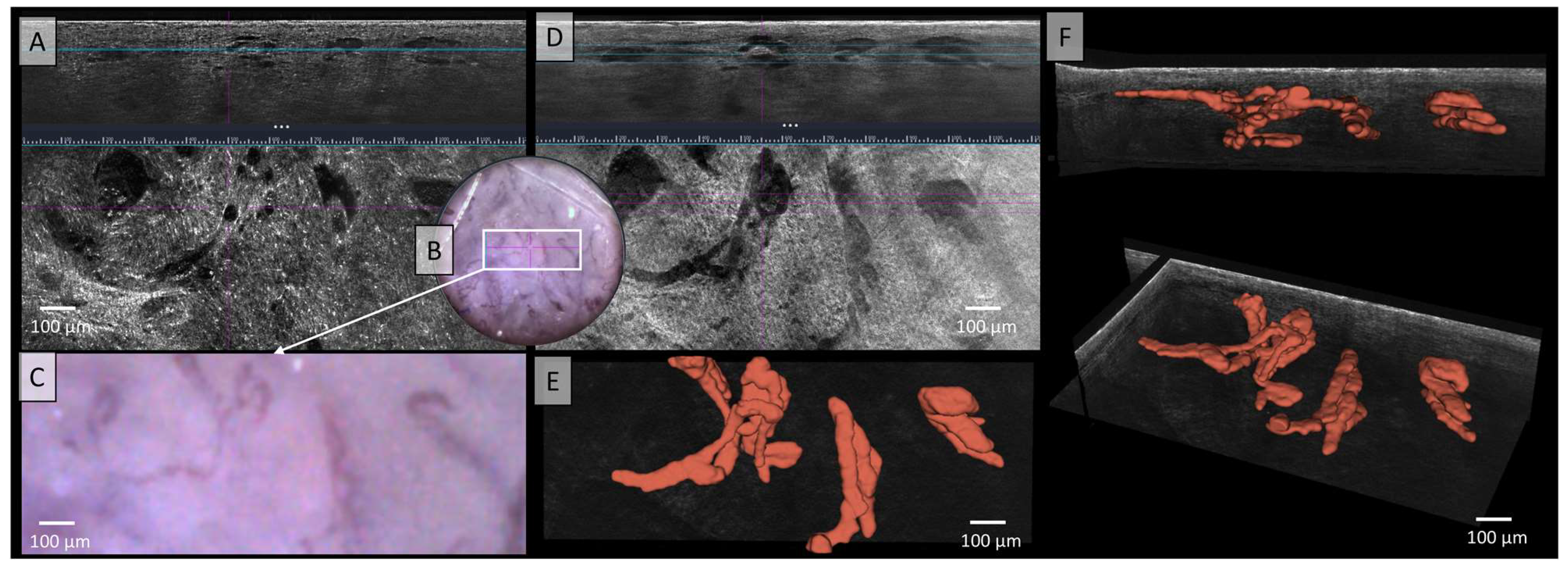 Applsci 15 00159 g004