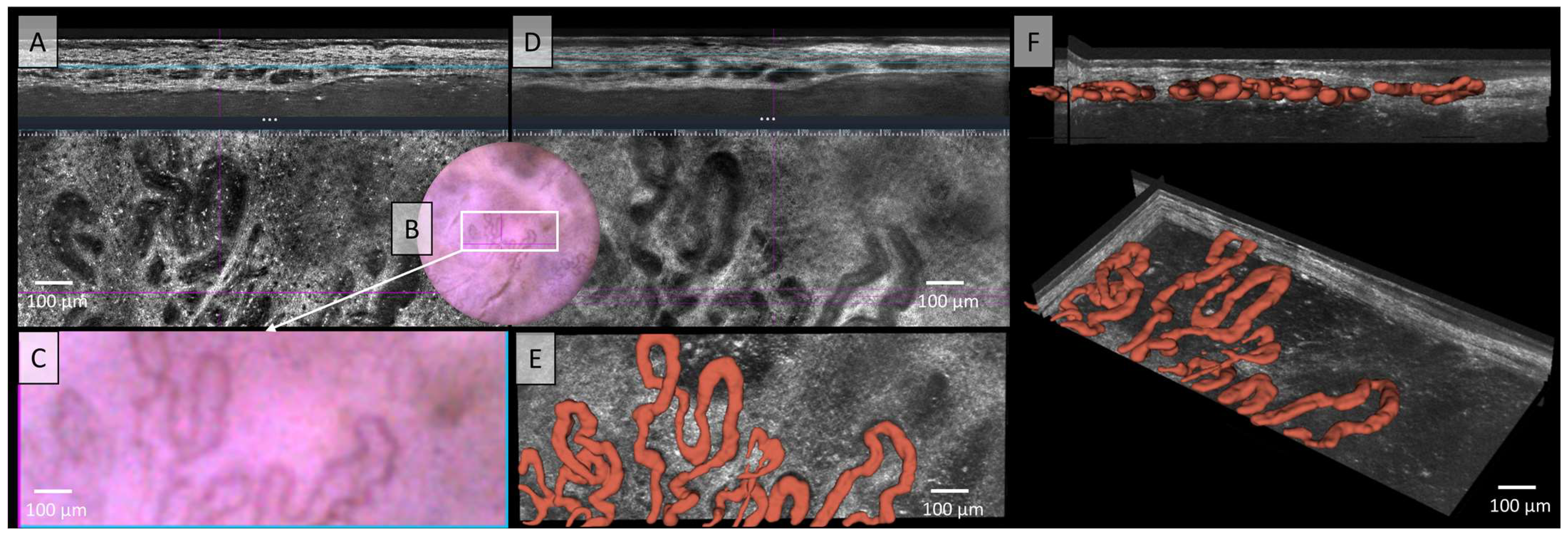 Applsci 15 00159 g005