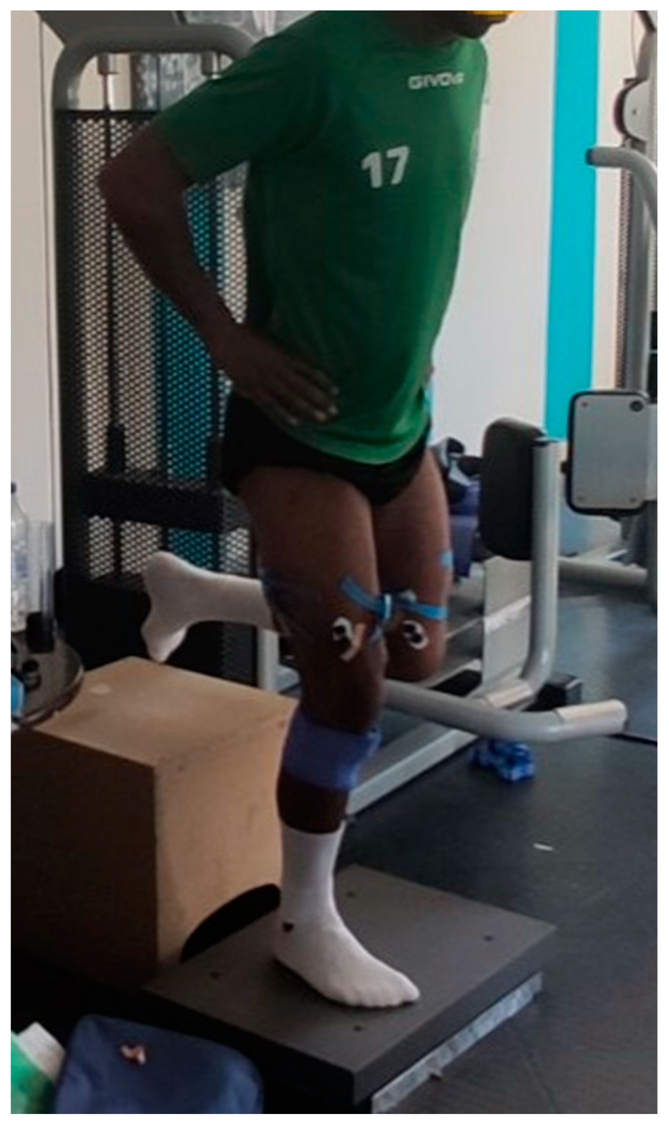 Applsci 15 00167 g001