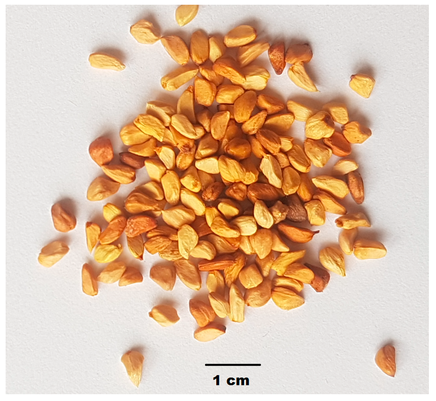 Applsci 15 00168 g002