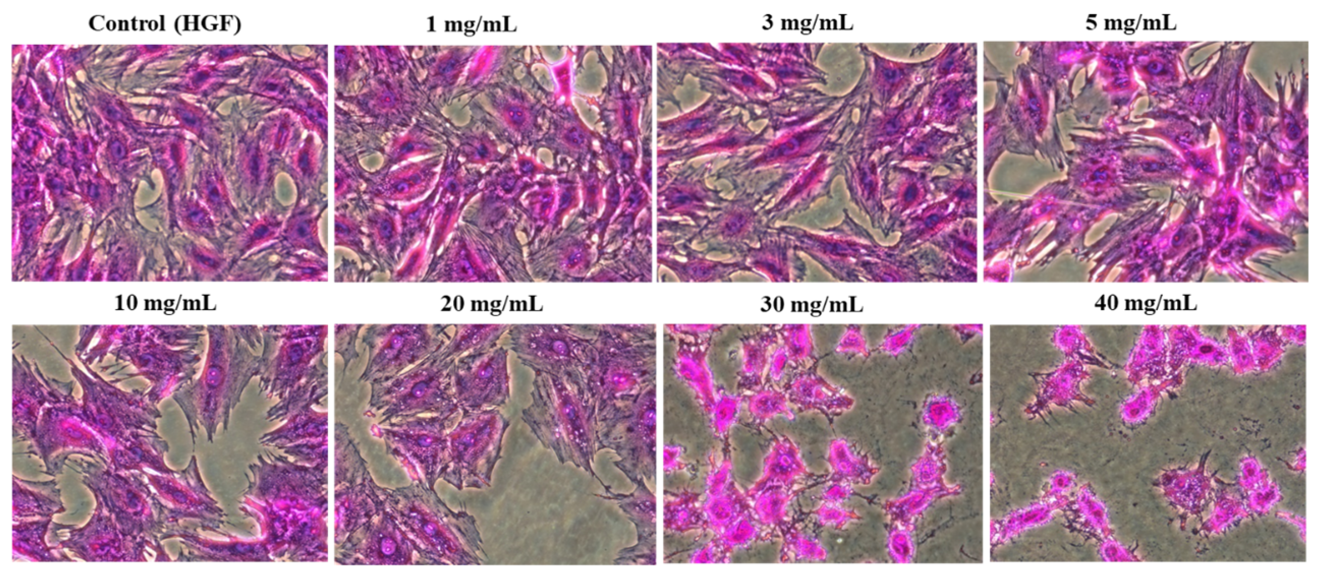 Applsci 15 00190 g004