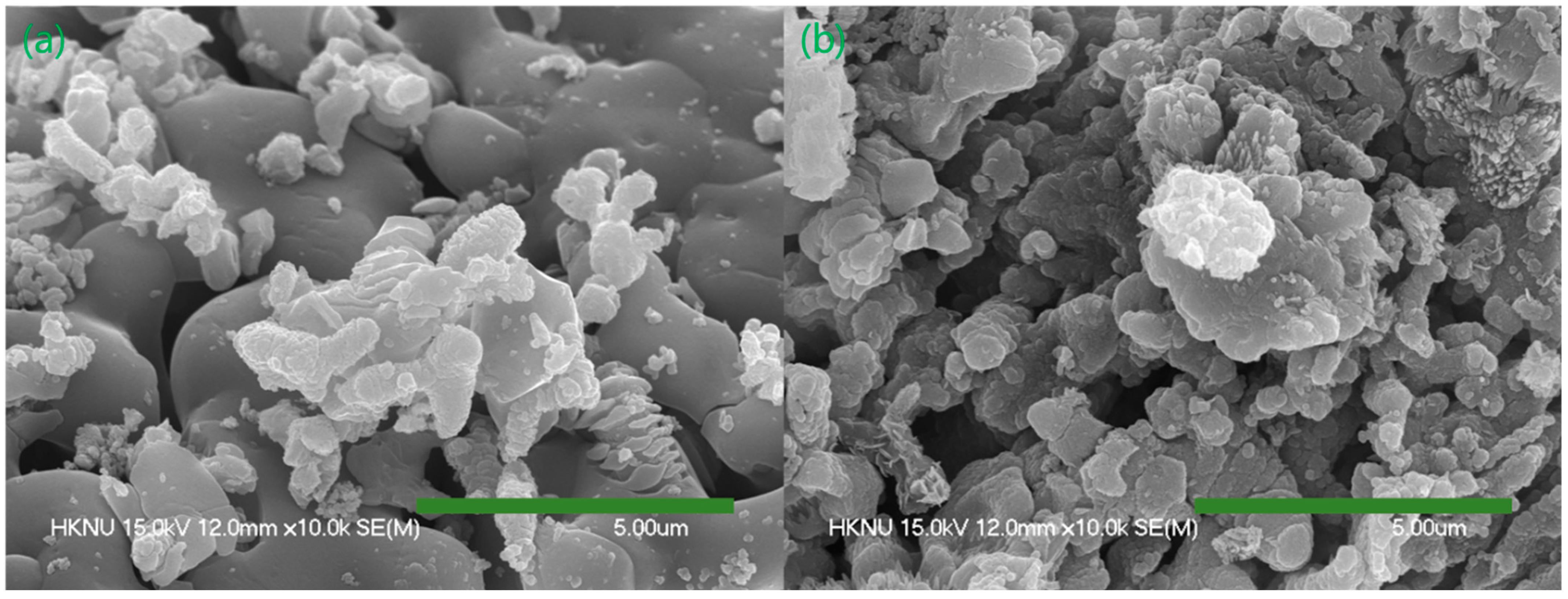 Applsci 15 00245 g004