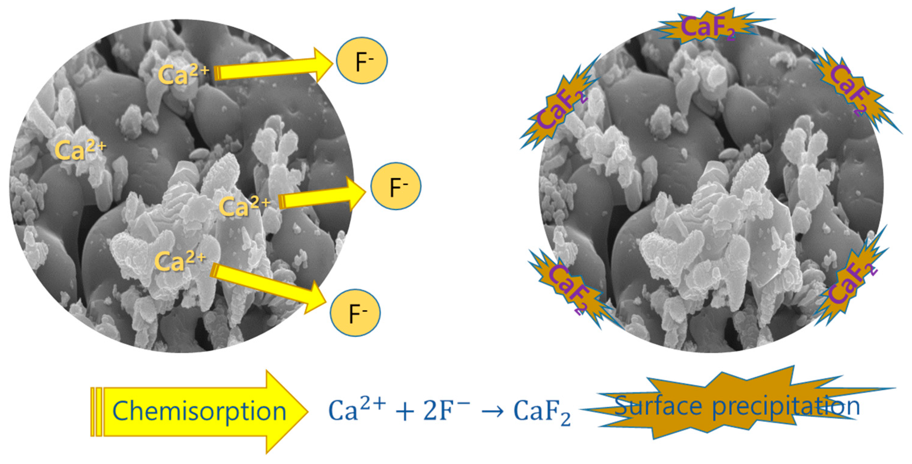 Applsci 15 00245 g006