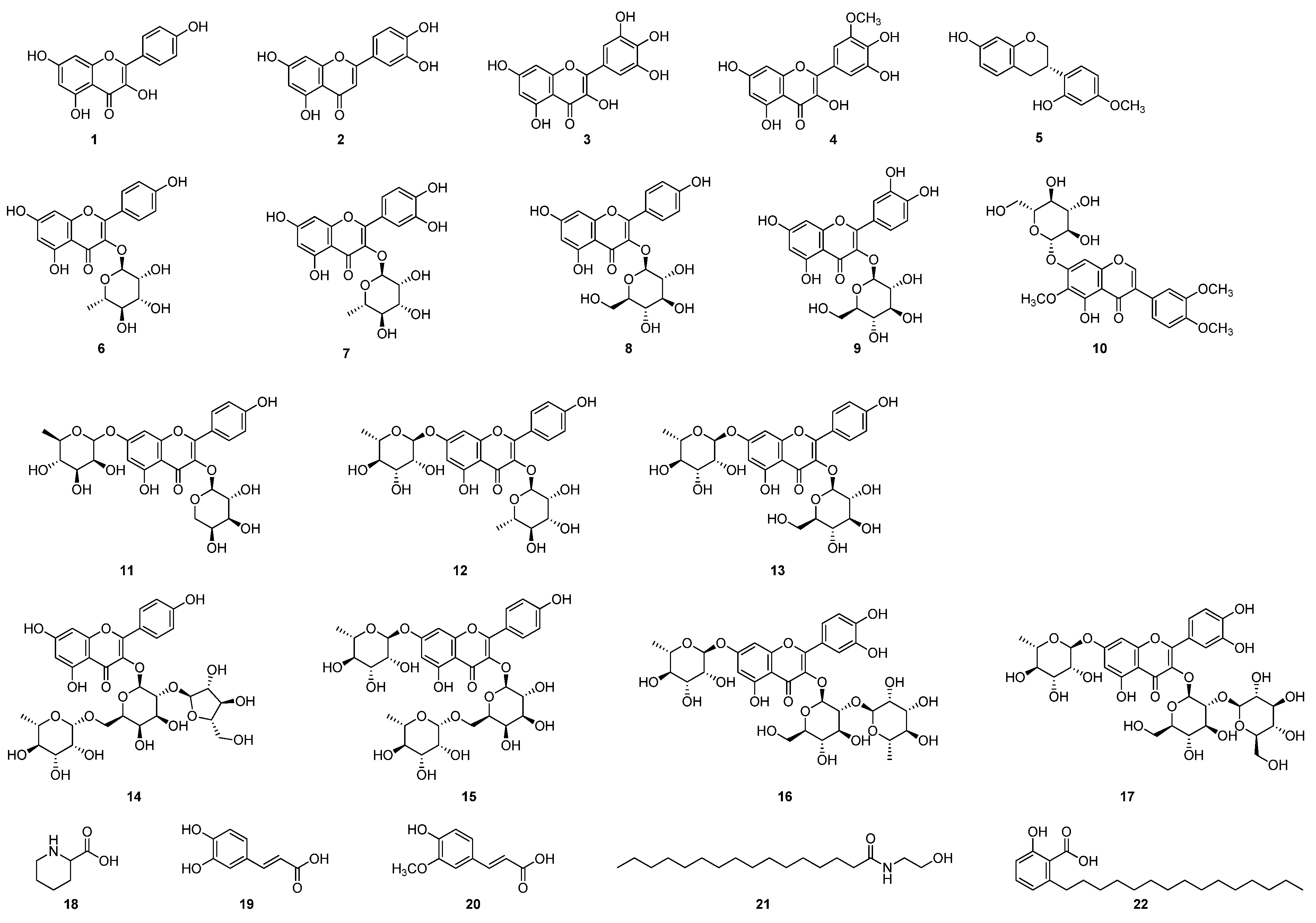 Applsci 15 00247 g002