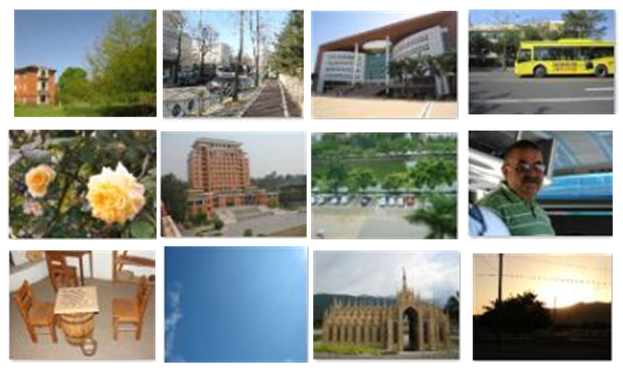 Applsci 15 00261 g014