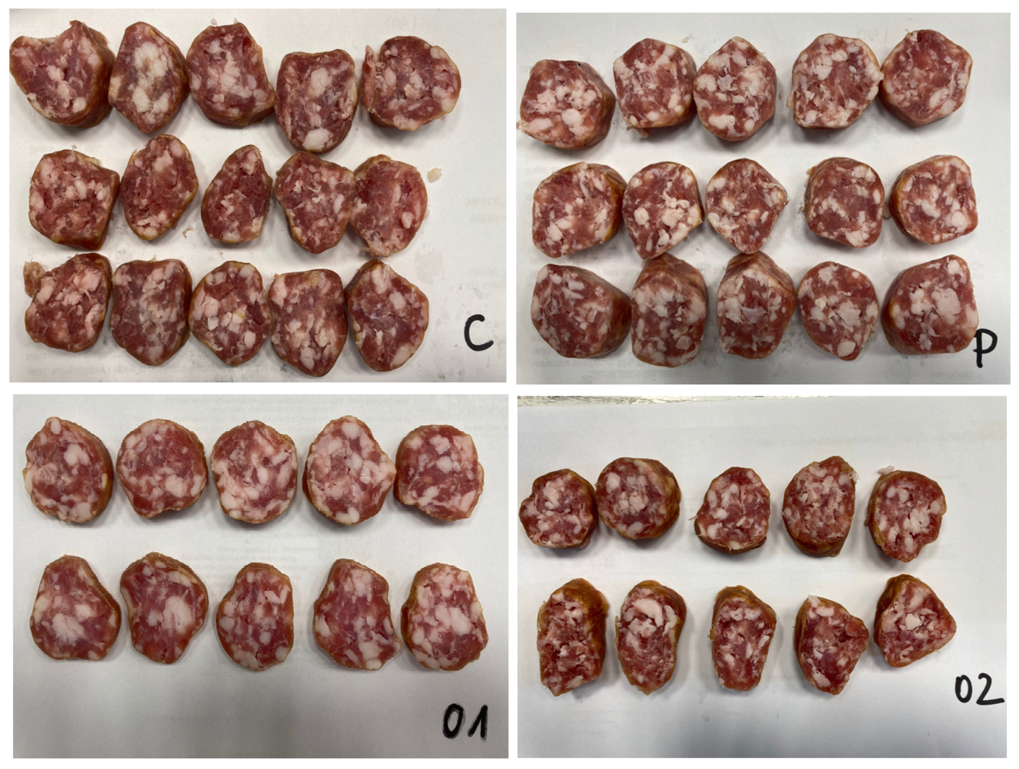 Applsci 15 00263 g001