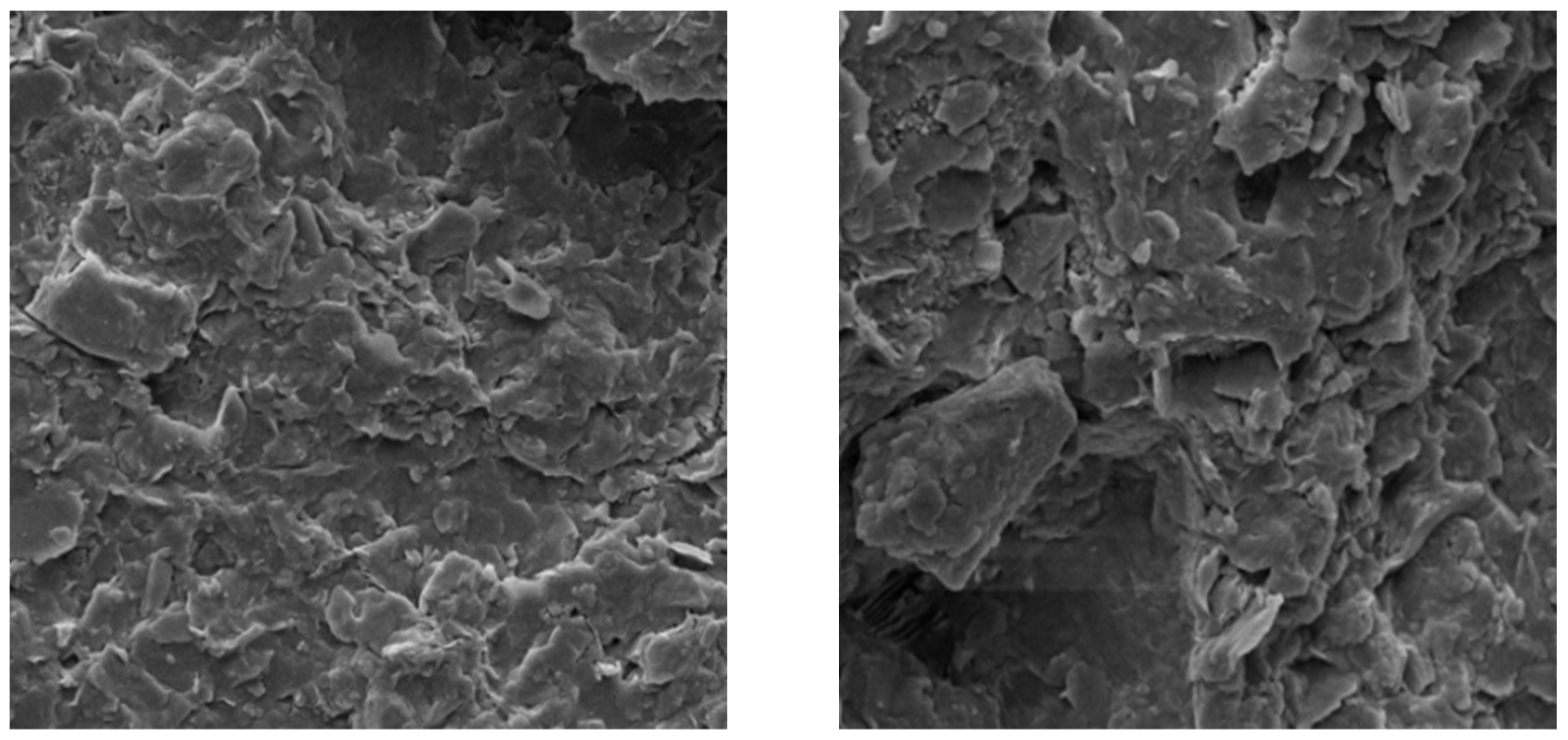 Applsci 15 00278 g007