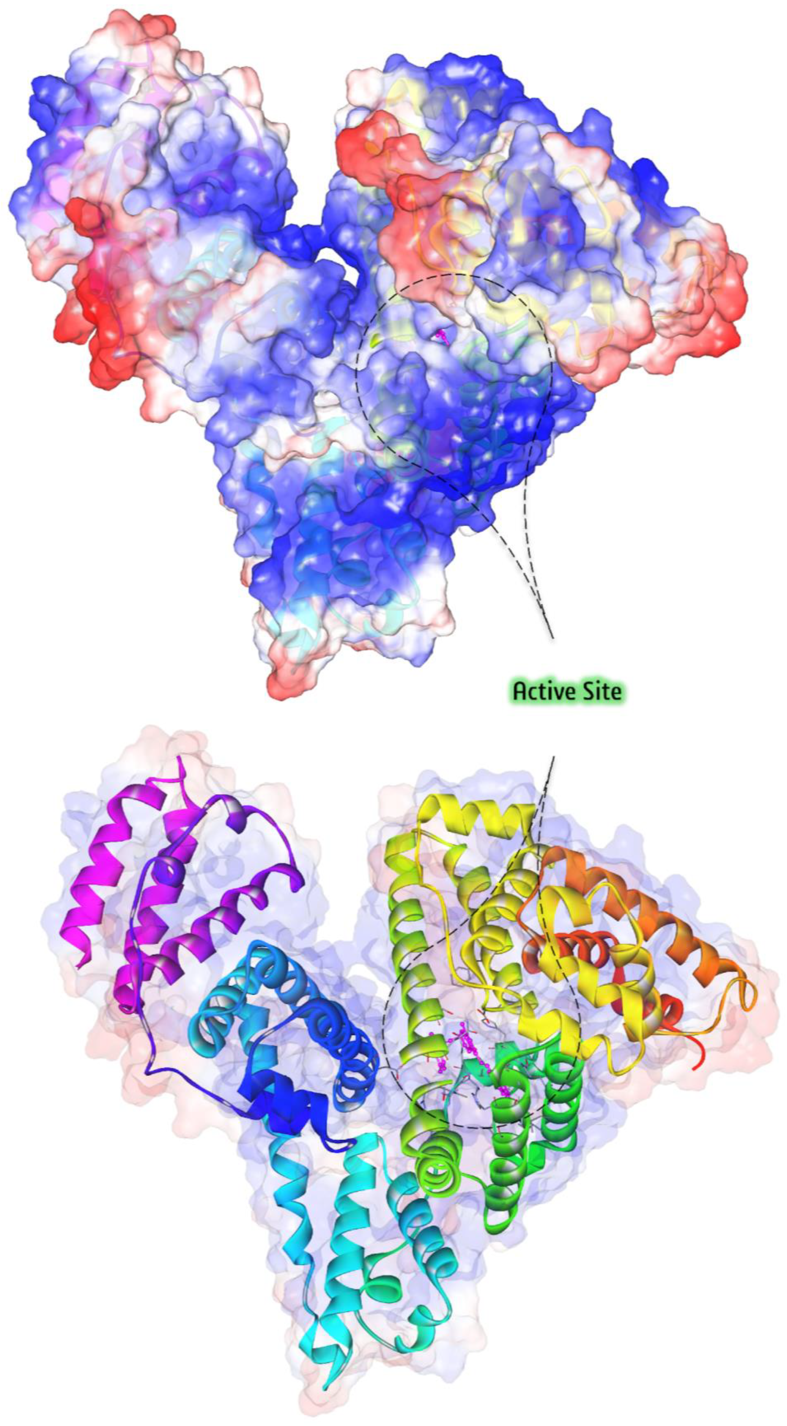 Applsci 15 00284 g007