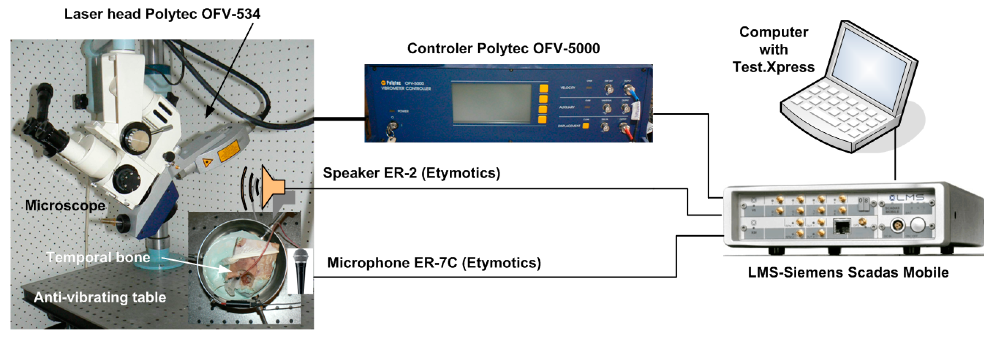 Applsci 15 00301 g001