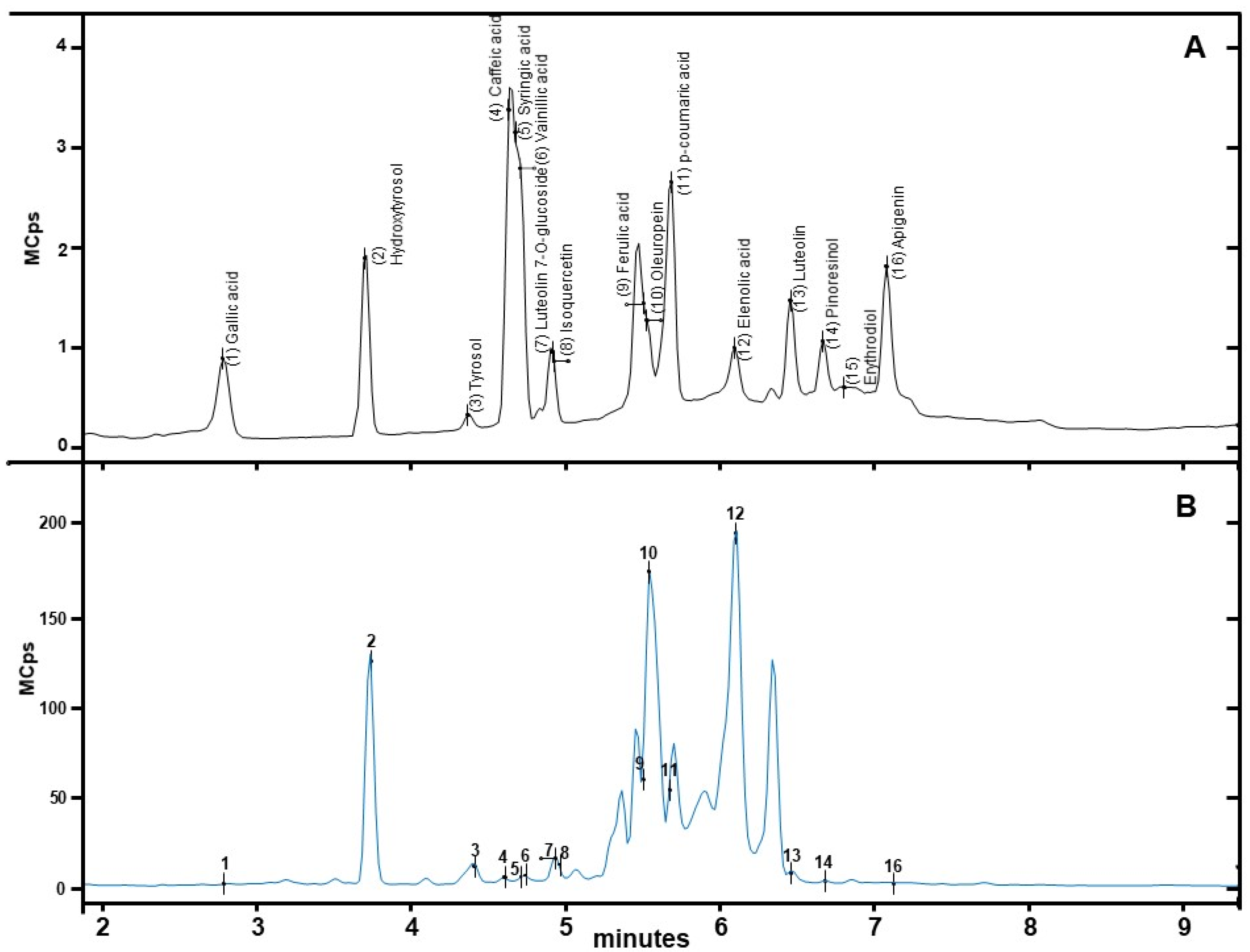 Applsci 15 00312 g001