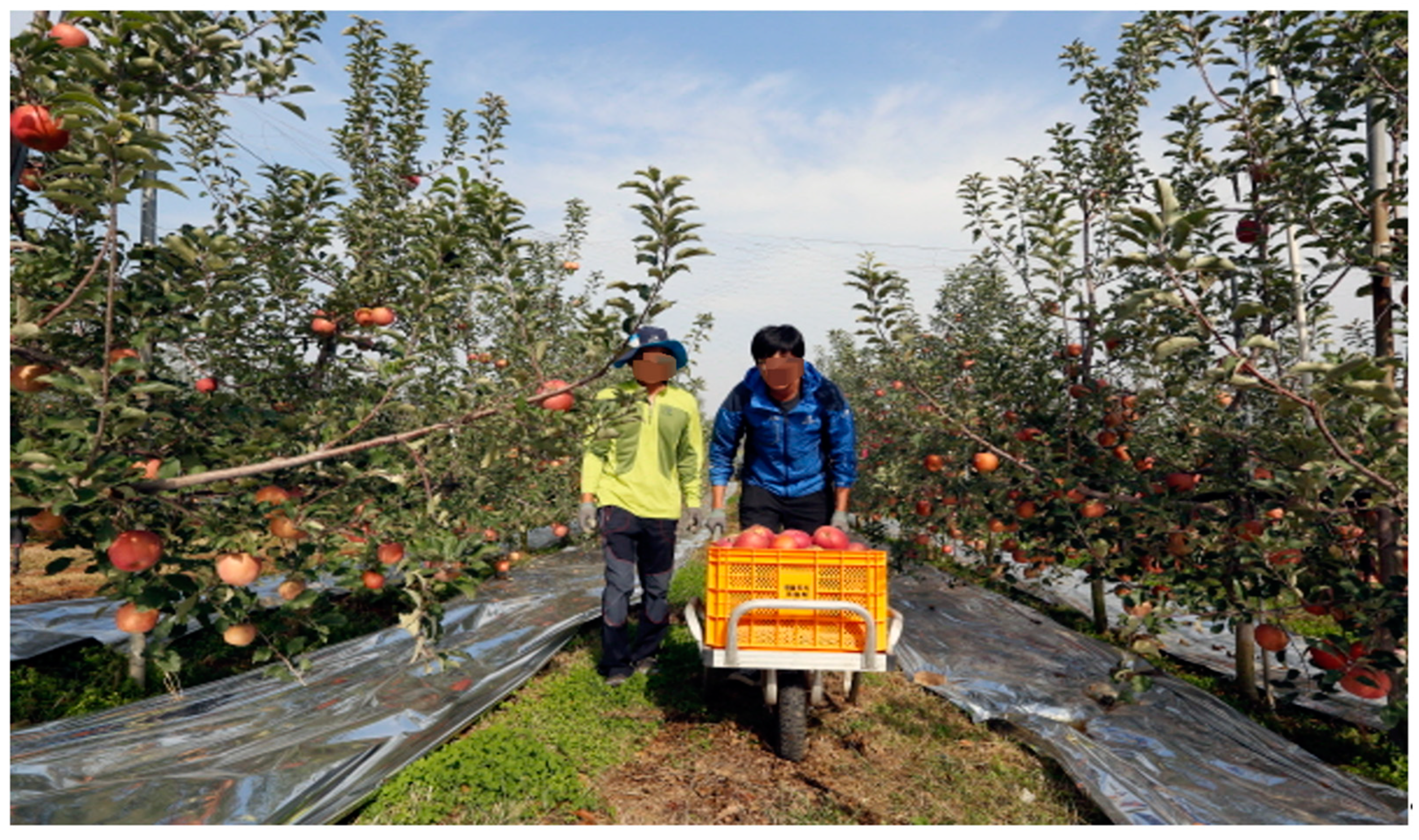 Applsci 15 00317 g001