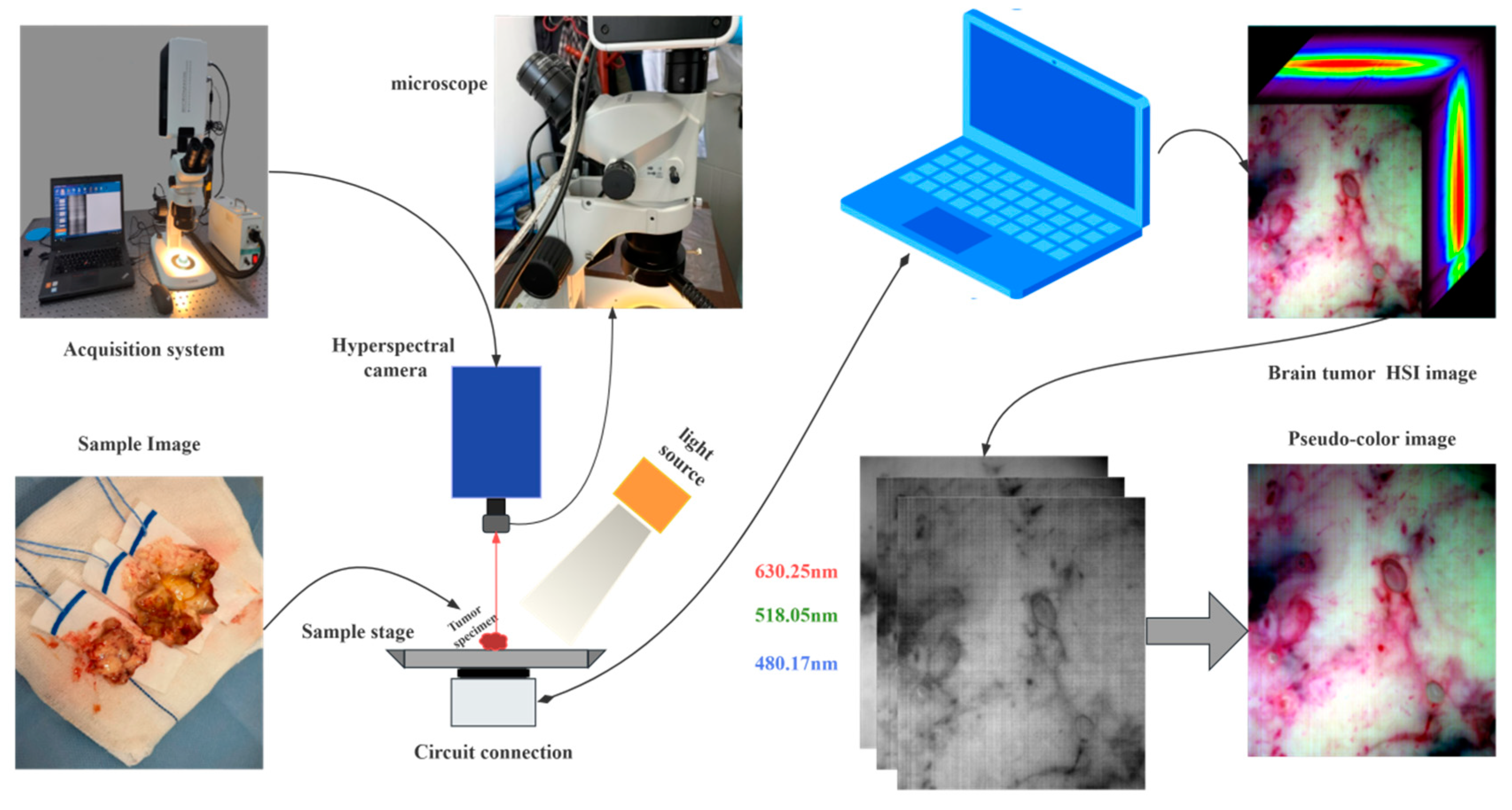 Applsci 15 00321 g002