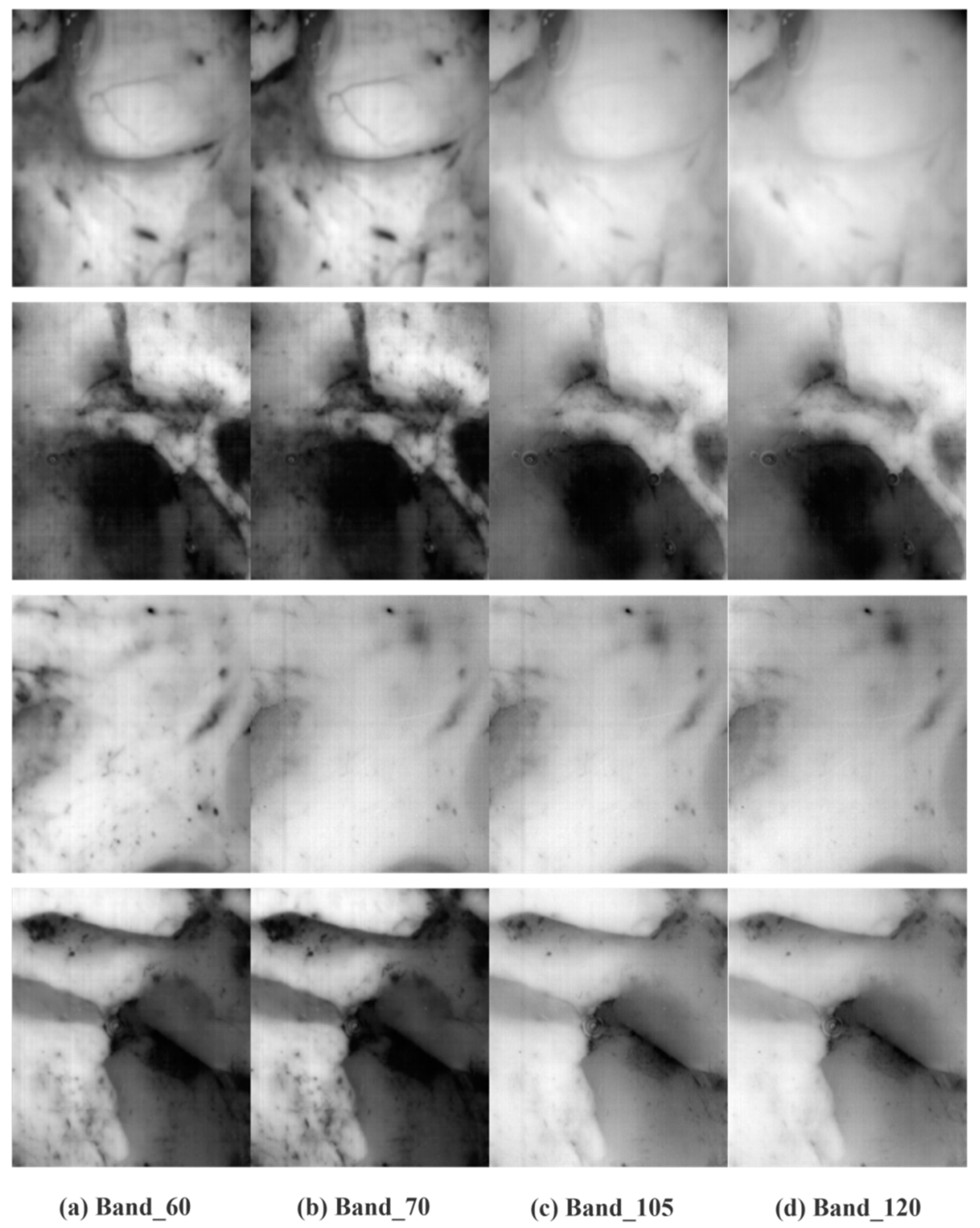 Applsci 15 00321 g004