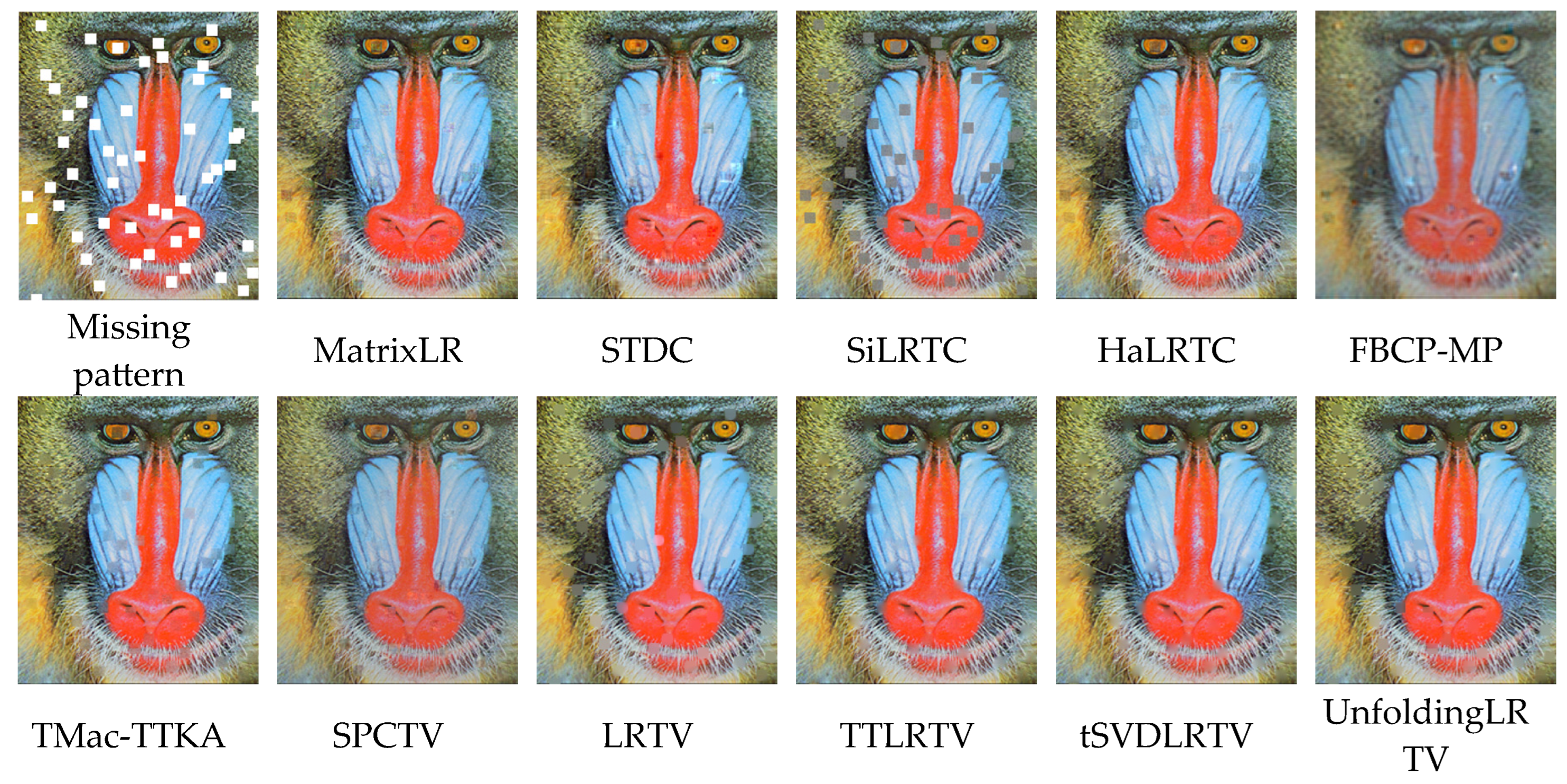 Applsci 15 00322 g009