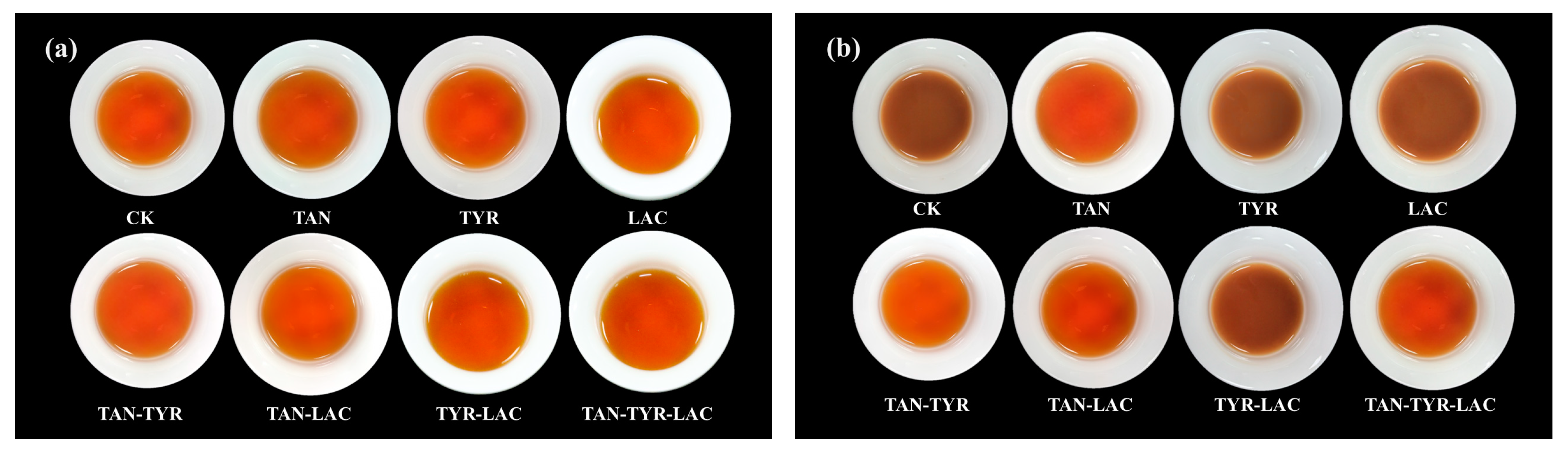 Applsci 15 00330 g005