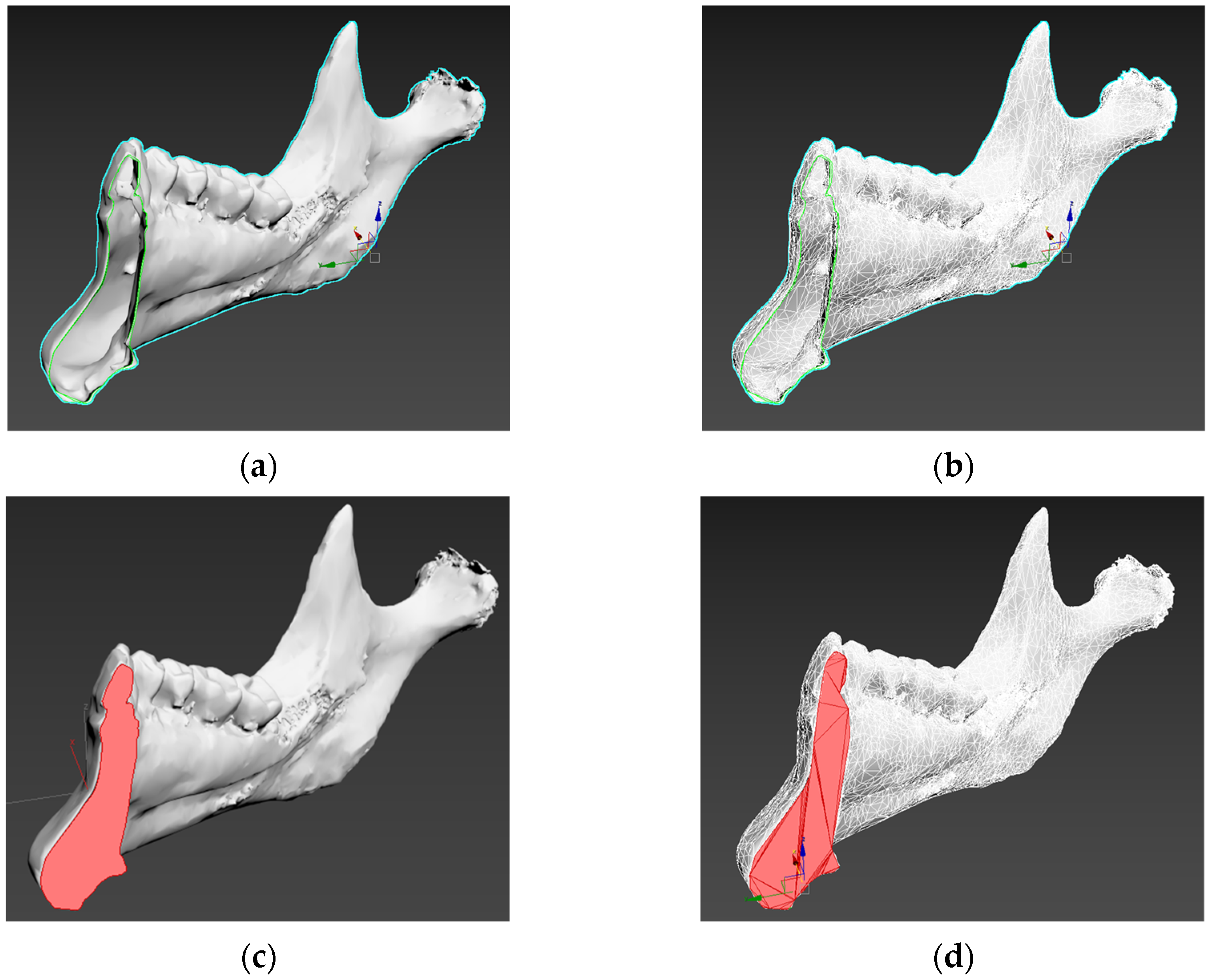 Applsci 15 00332 g004
