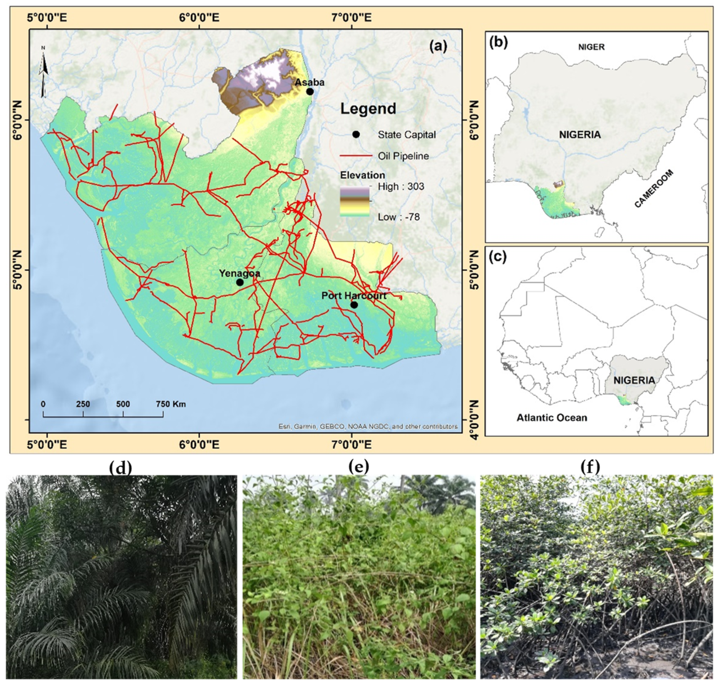 Applsci 15 00338 g001