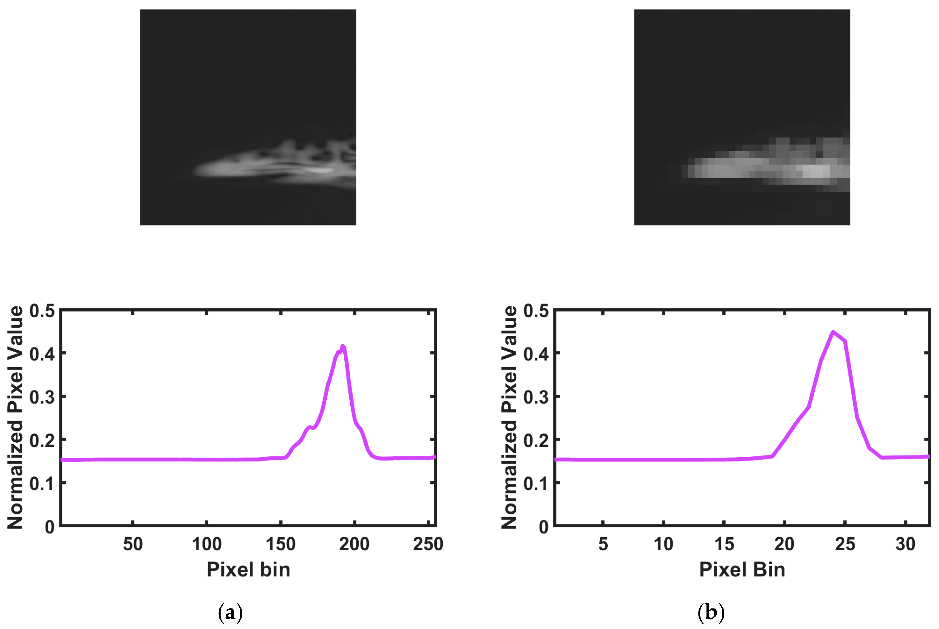 Applsci 15 00346 g011