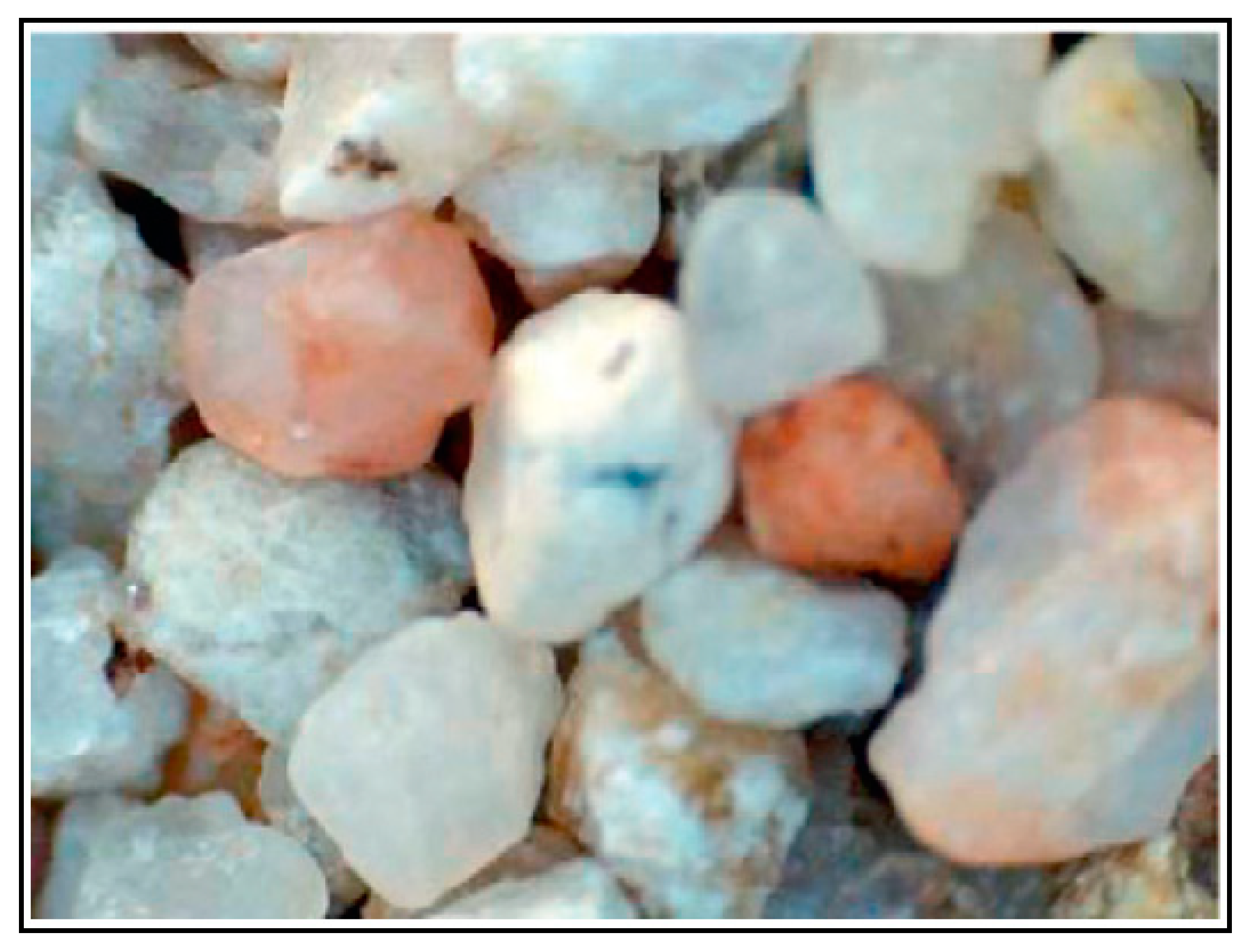 Applsci 15 00353 g002