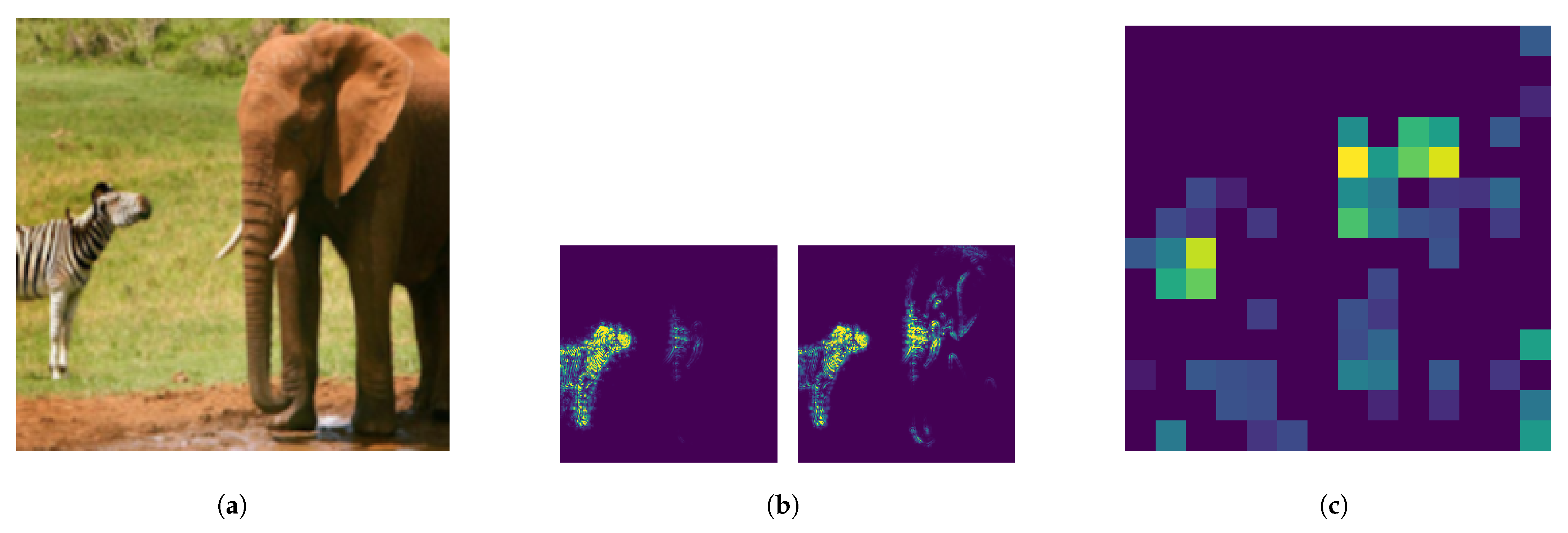 Applsci 15 00379 g001