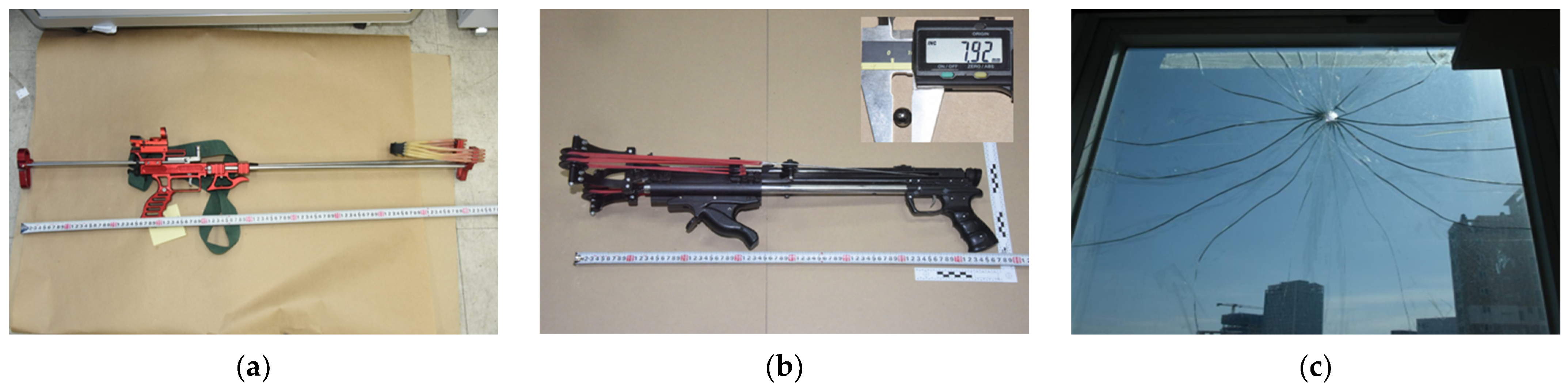 Applsci 15 00386 g001