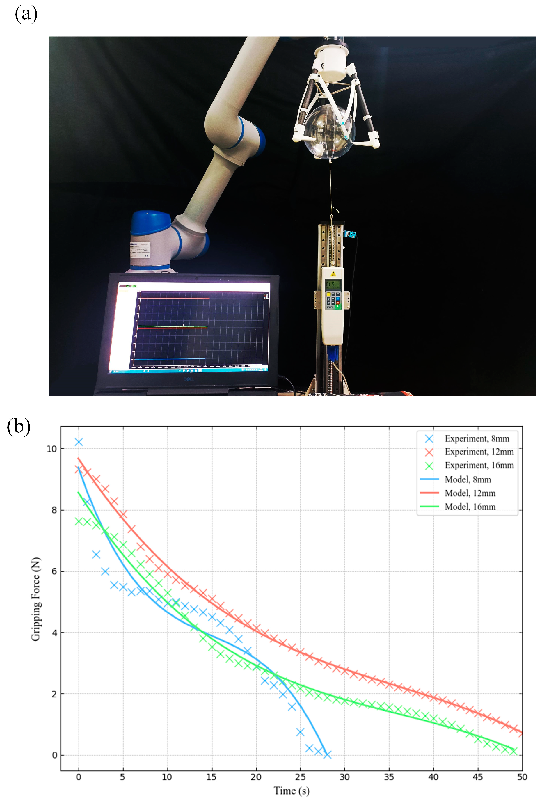 Applsci 15 00389 g010