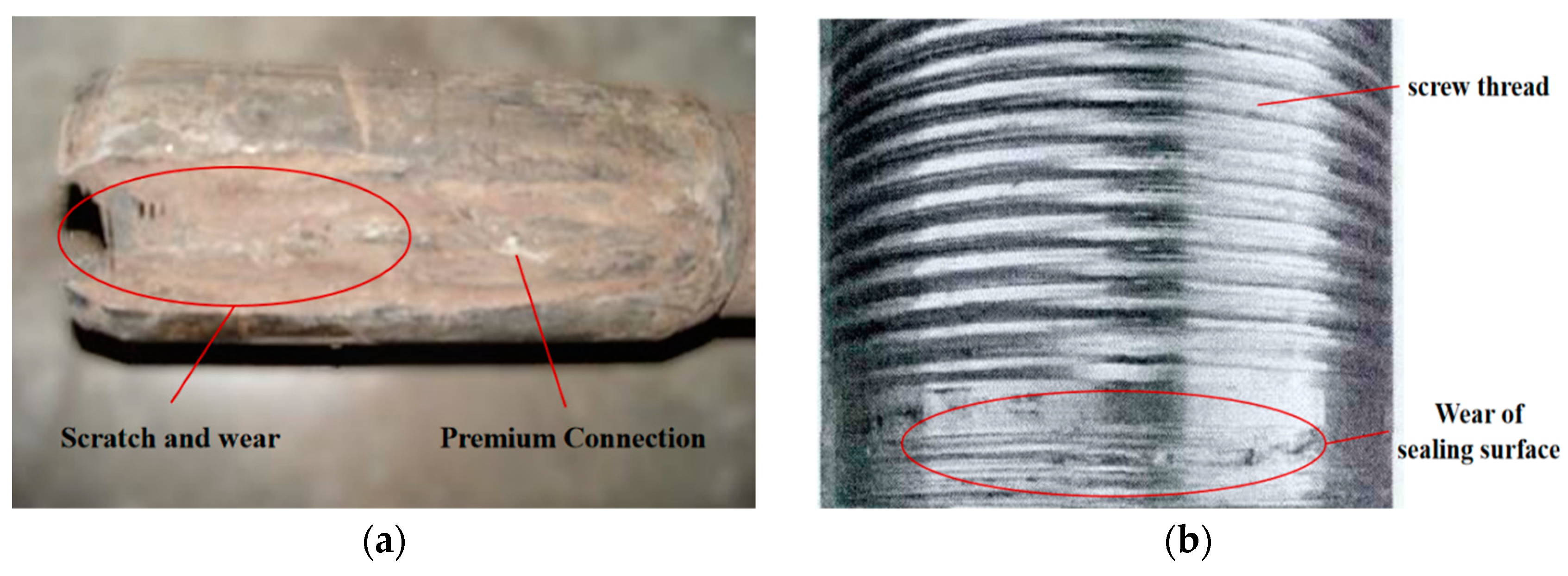 Applsci 15 00393 g002