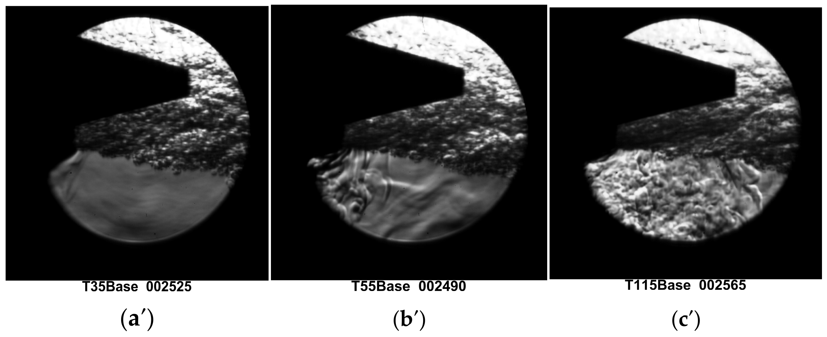 Applsci 15 00394 g012b