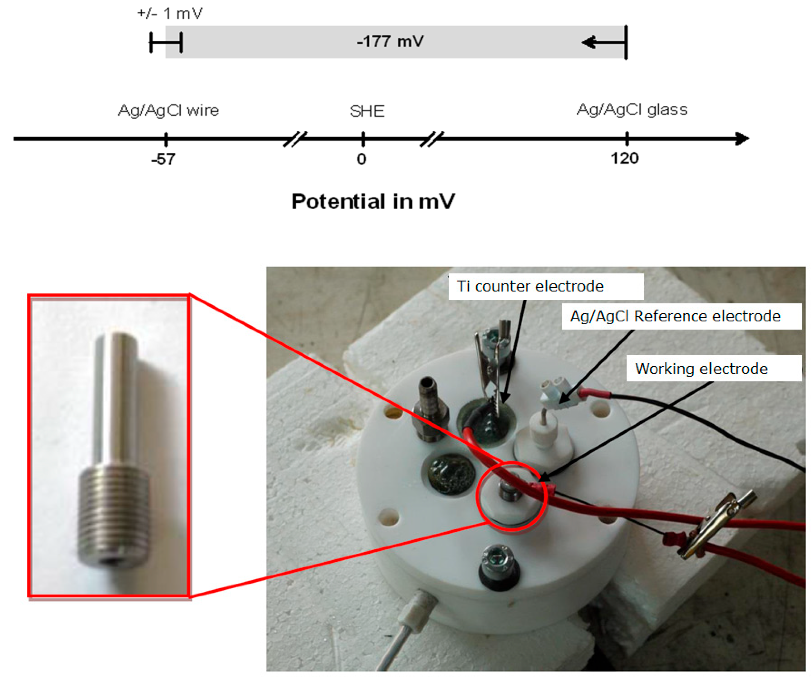 Applsci 15 00403 g004